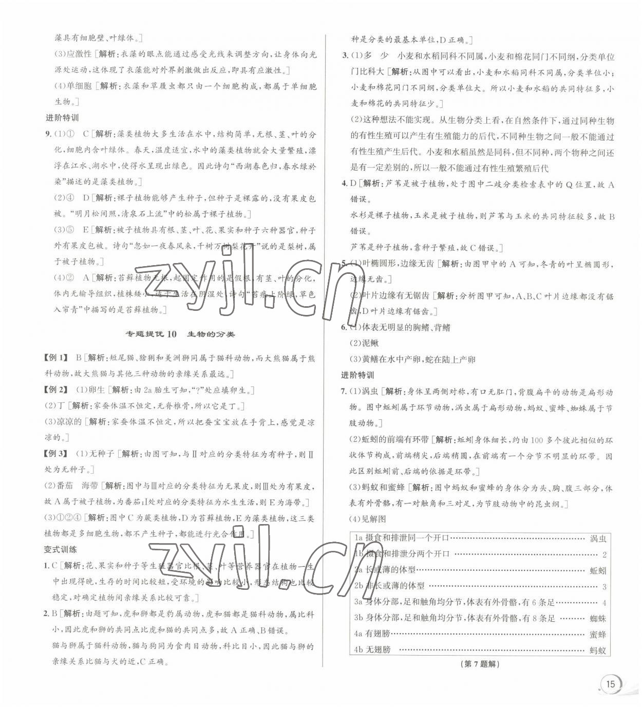 2022年優(yōu)加攻略七年級科學(xué)上冊浙教版 參考答案第7頁