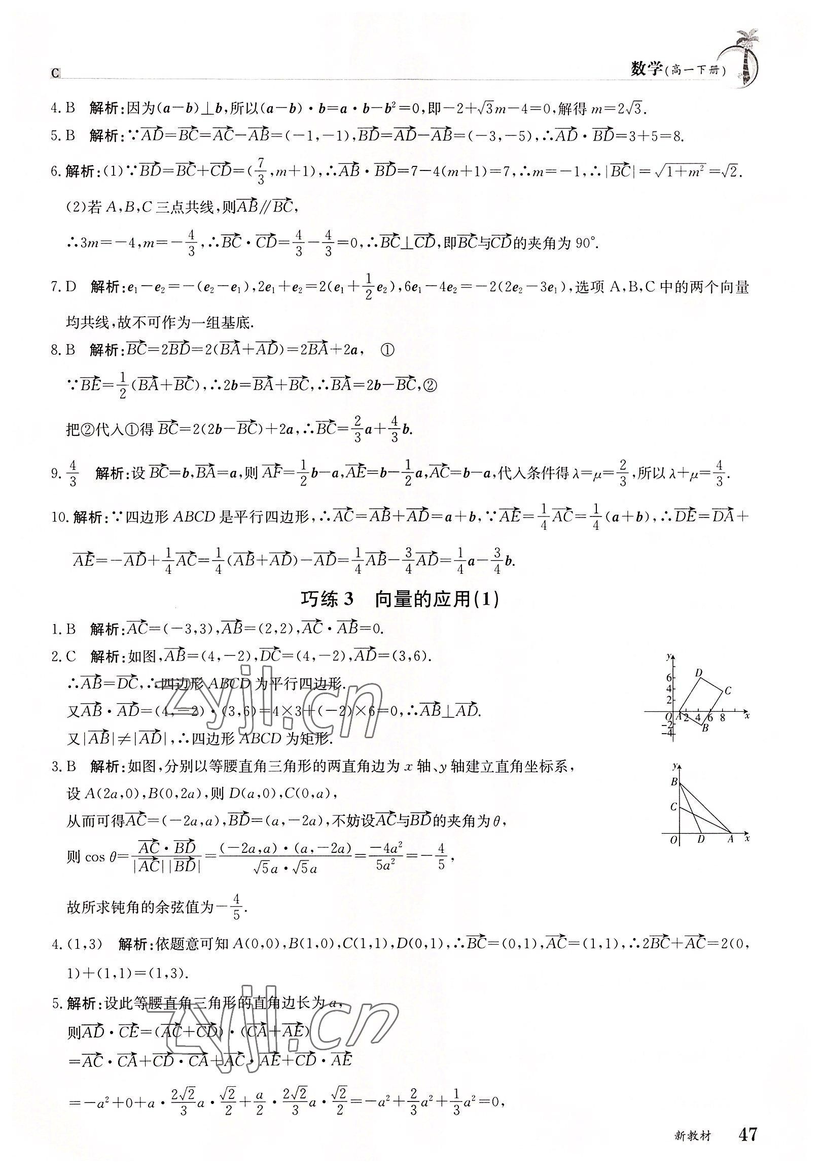 2022年假日巧练高一数学下册 参考答案第2页