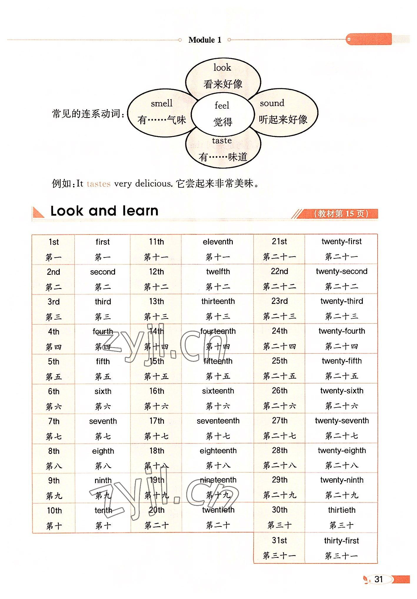 2022年教材課本五年級(jí)英語上冊(cè)滬教版 參考答案第31頁