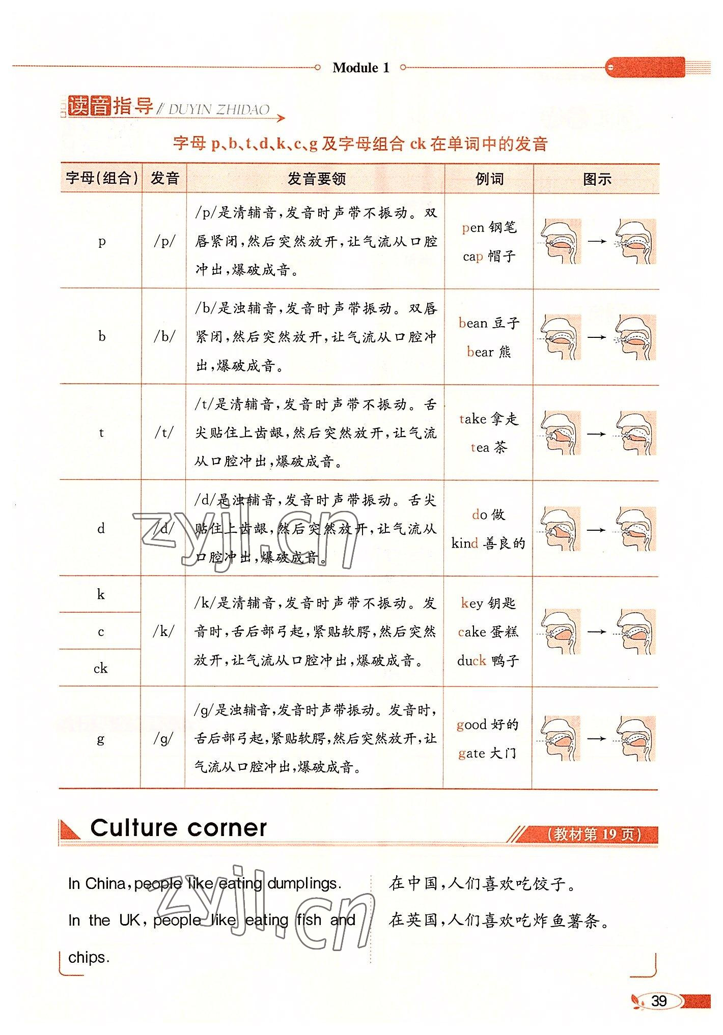 2022年教材課本六年級英語上冊滬教版 參考答案第39頁