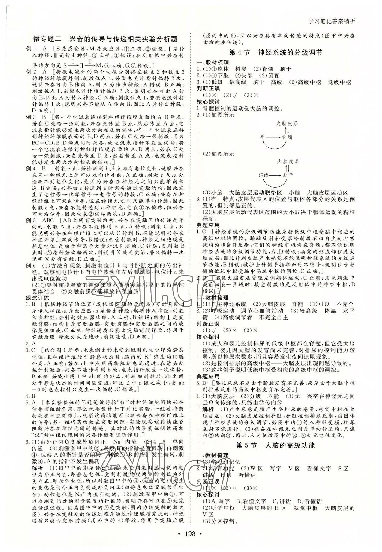 2022年步步高學(xué)習(xí)筆記高中生物選擇性必修1人教版 參考答案第4頁