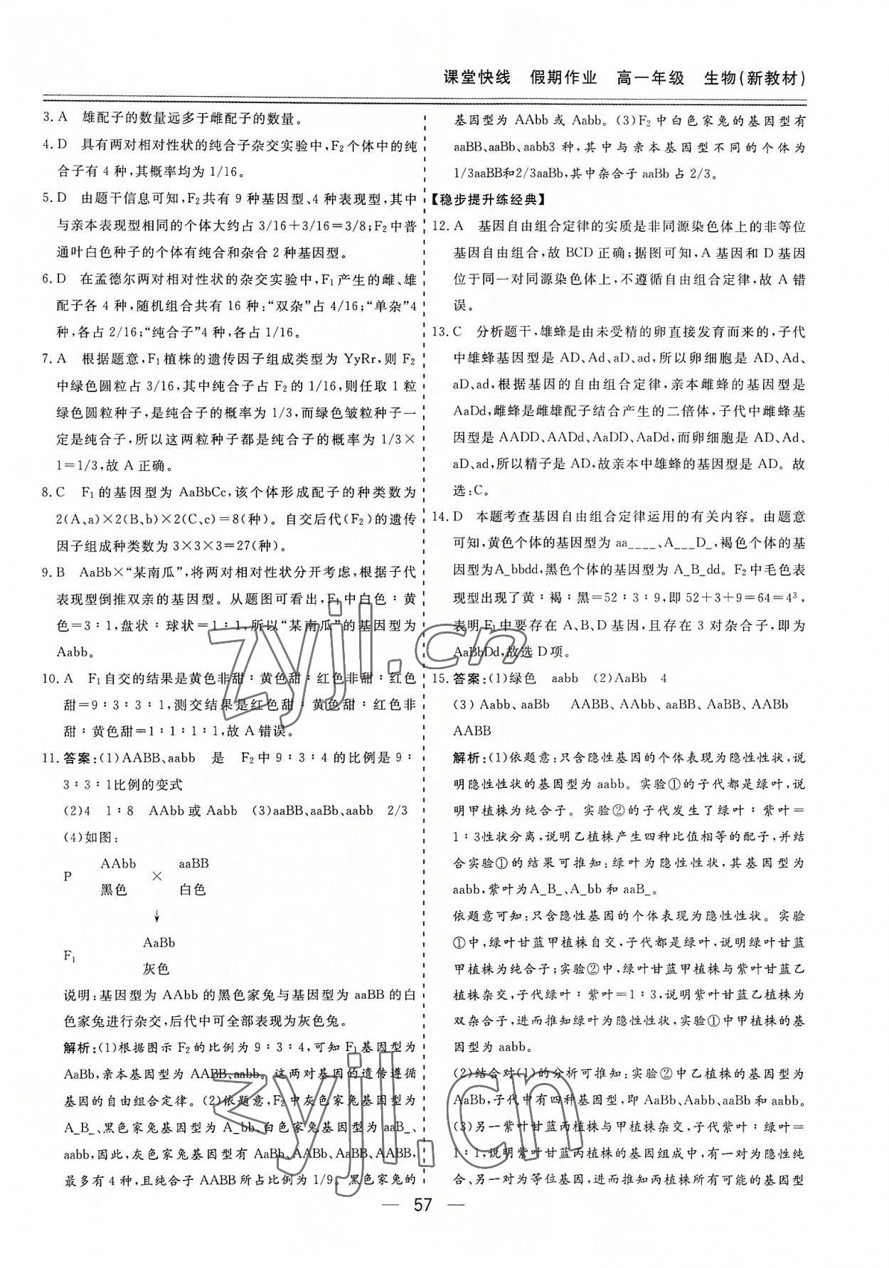 2022年课堂快线假期作业高一生物 第3页