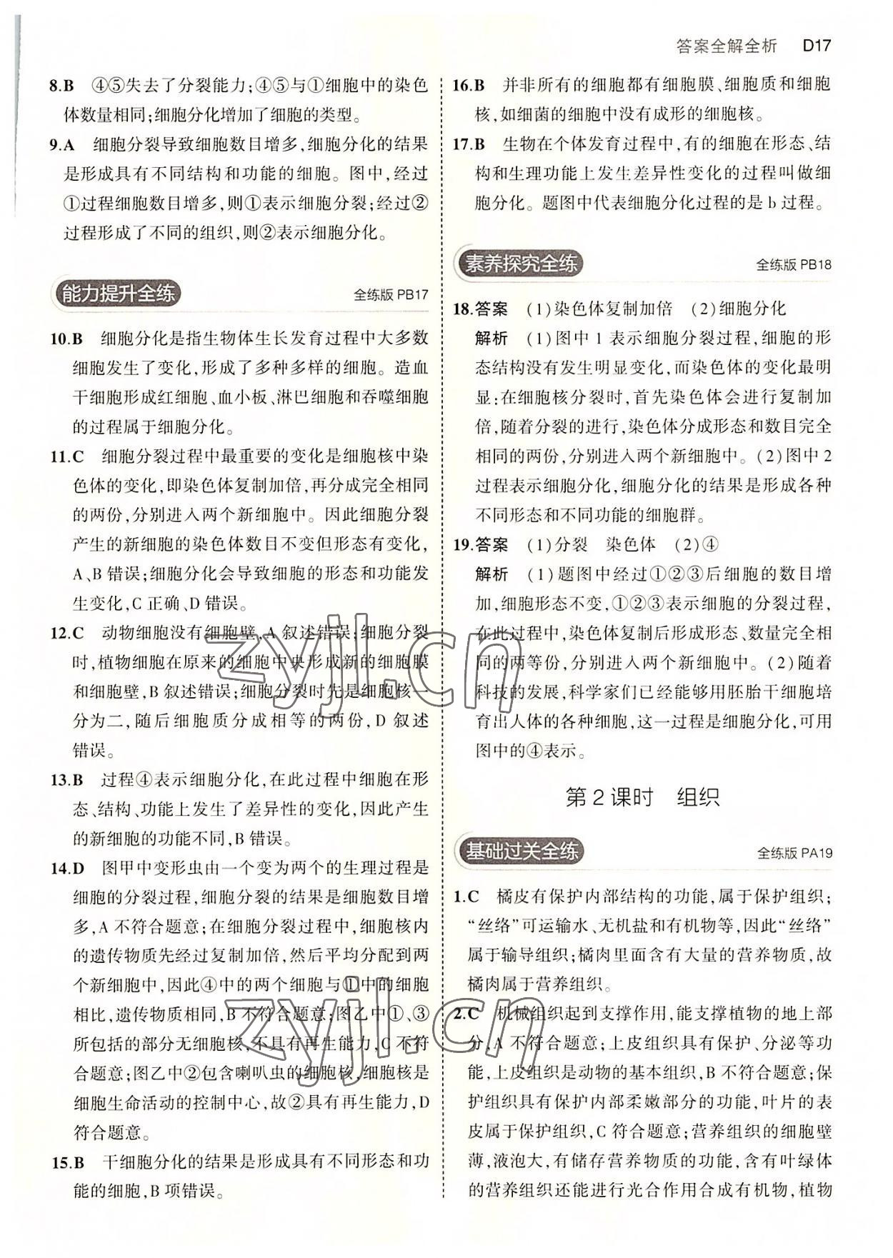 2022年5年中考3年模擬七年級科學(xué)上冊浙教版 第17頁