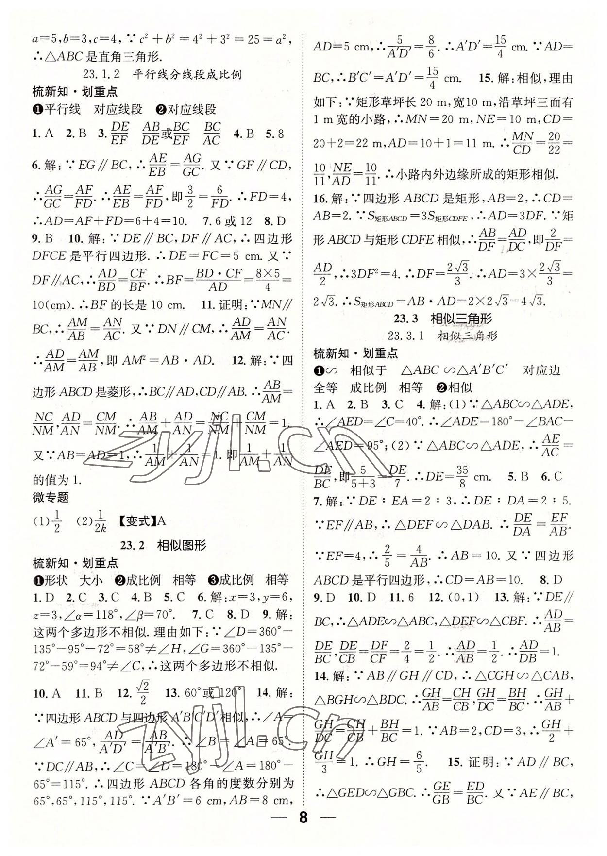 2022年精英新課堂九年級數(shù)學(xué)上冊華師大版 參考答案第8頁