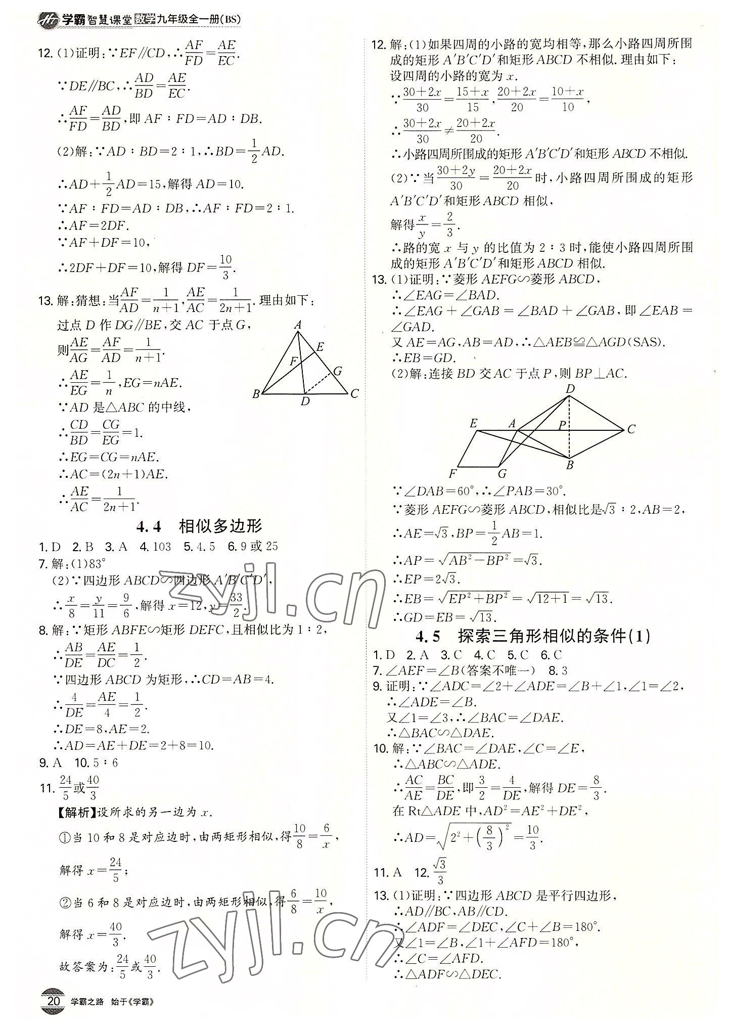 2022年学霸智慧课堂九年级数学全一册北师大版 第20页