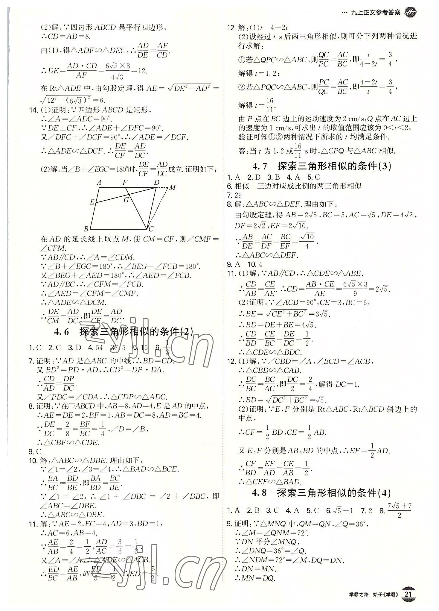 2022年学霸智慧课堂九年级数学全一册北师大版 第21页