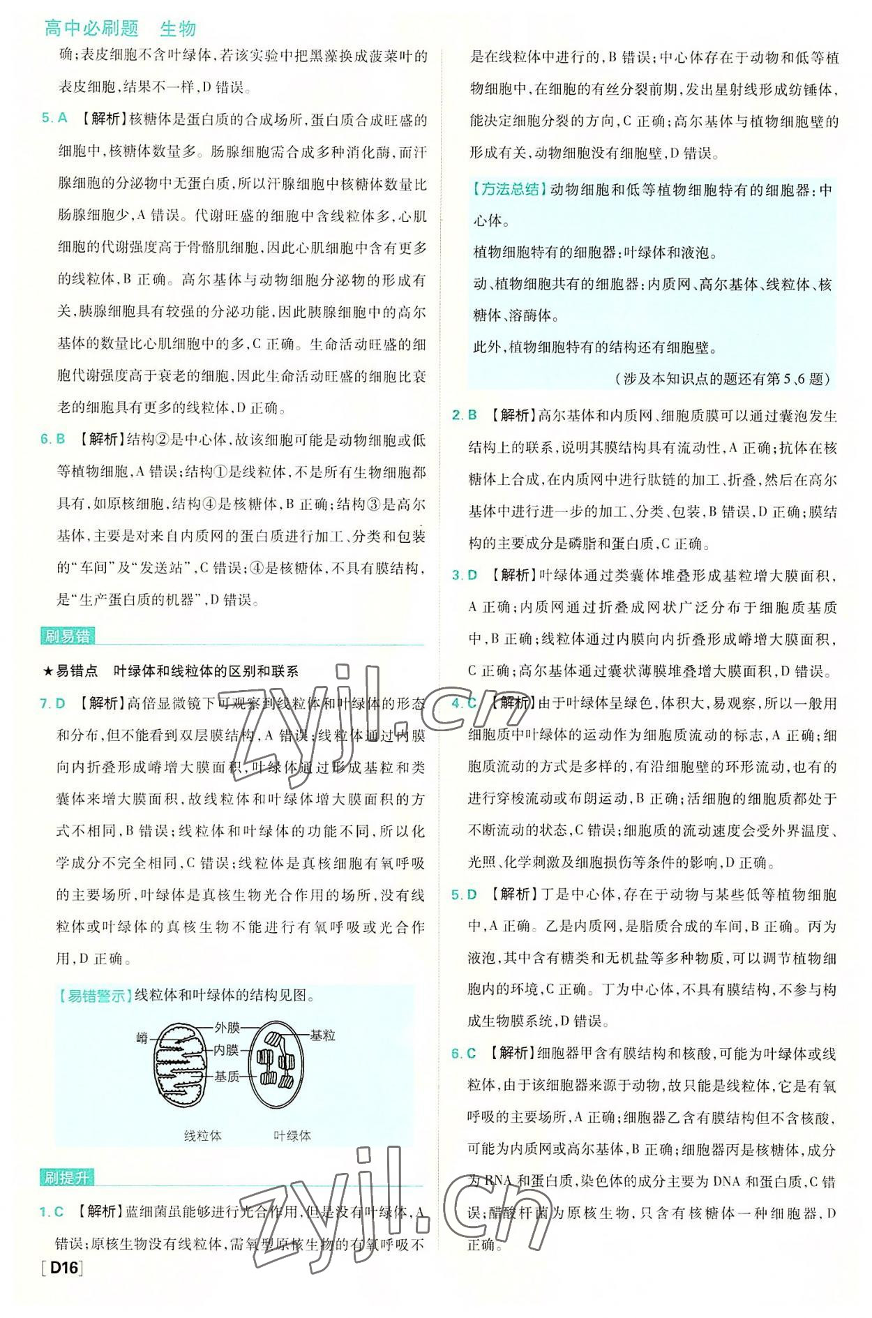 2022年高中必刷题高中生物必修1分子与细胞苏教版 第16页