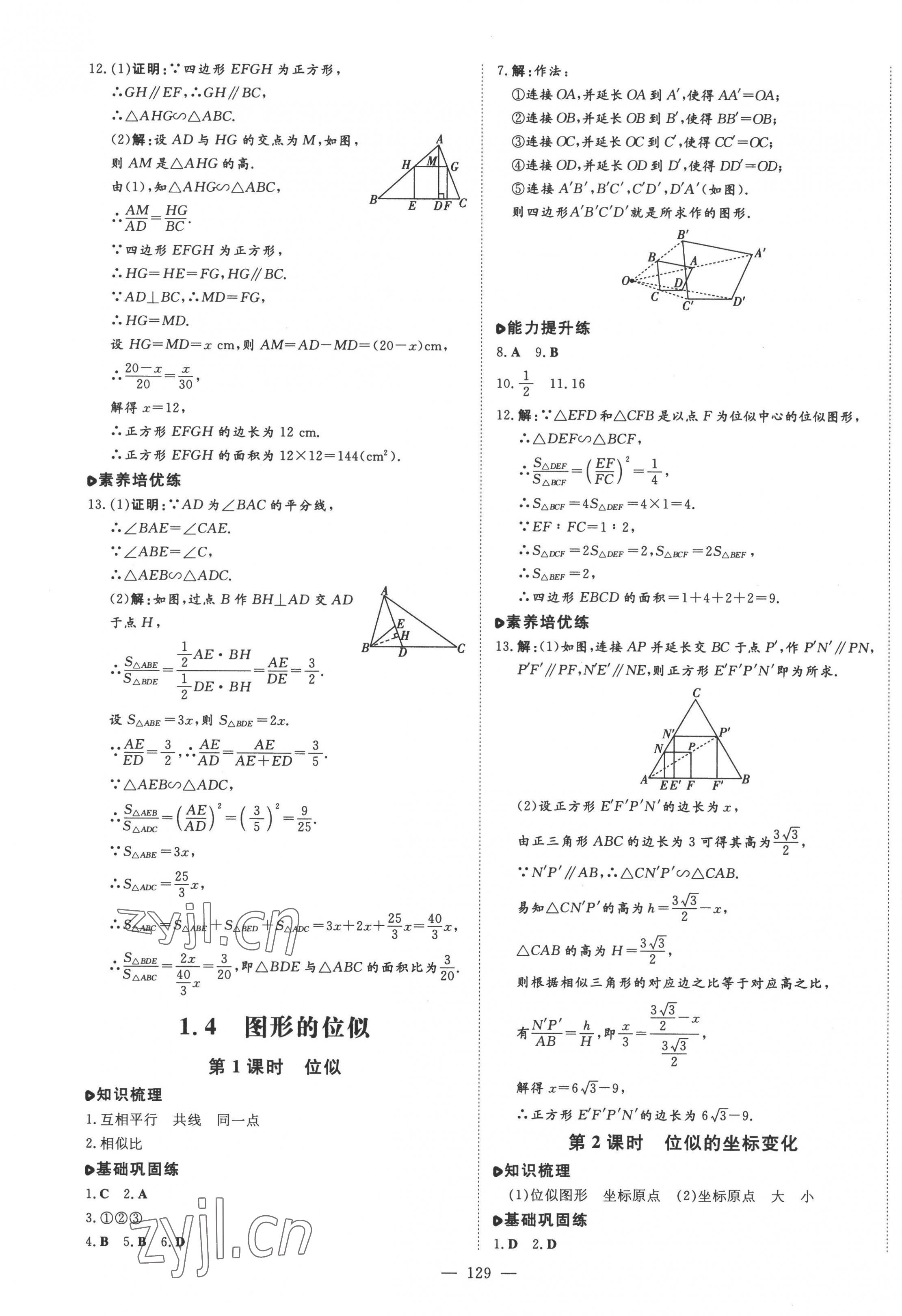 2022年練案九年級數(shù)學(xué)上冊青島版 第5頁