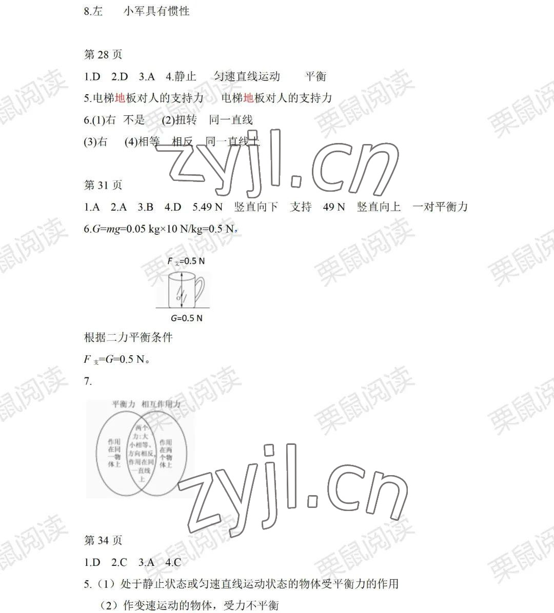 2022年暑假Happy假日八年級(jí)物理教科版 參考答案第4頁(yè)