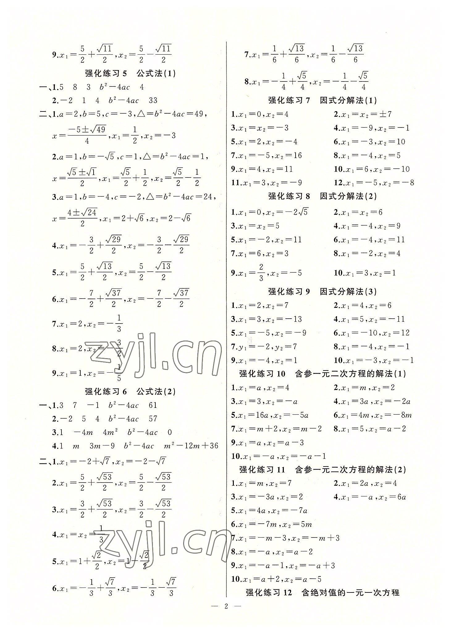 2022年高手点题计算攻略九年级数学上册人教版 参考答案第2页
