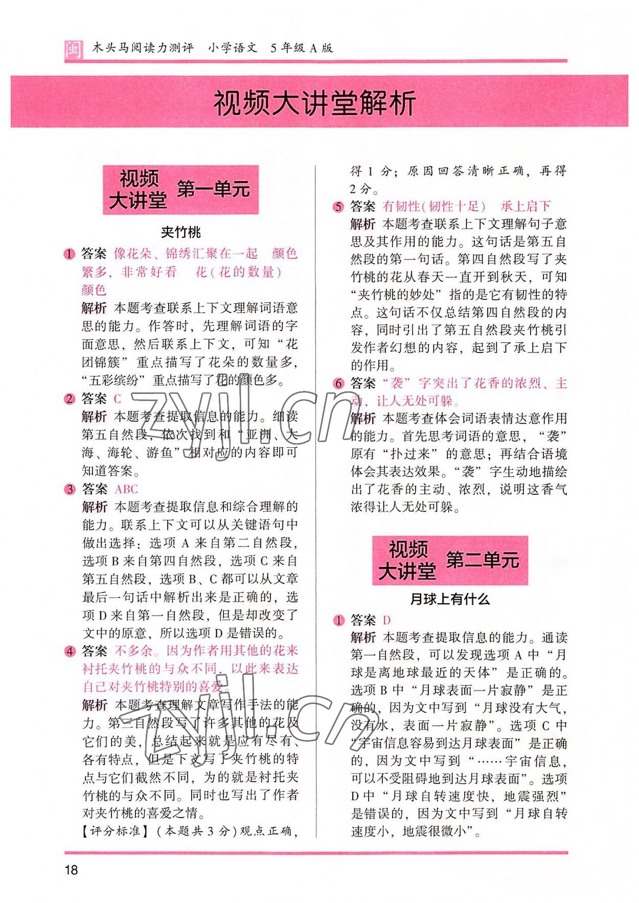 2022年木頭馬閱讀力測(cè)評(píng)五年級(jí)語文部編版A版福建專版 參考答案第1頁