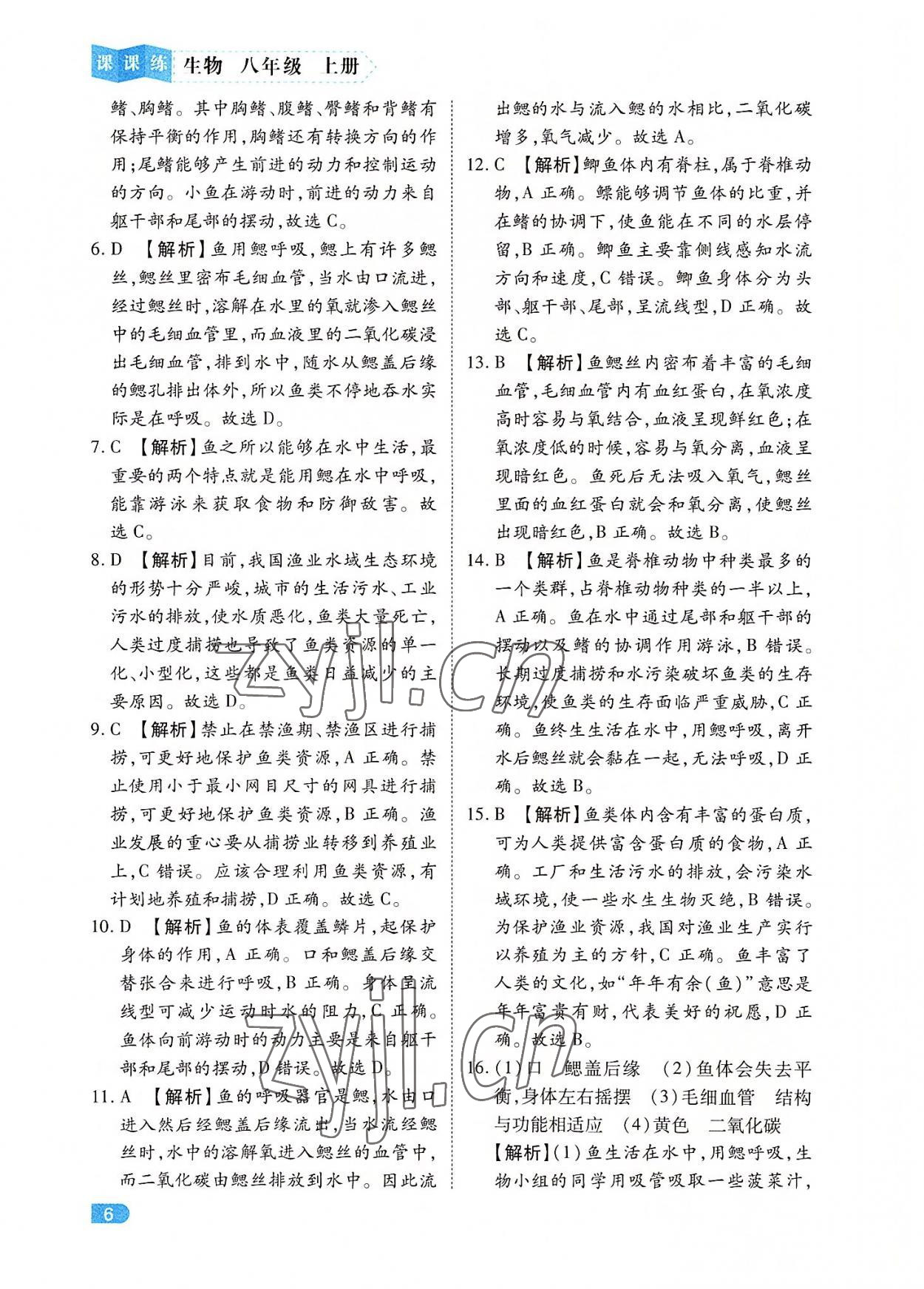 2022年課課練同步訓練八年級生物上冊人教版 第6頁
