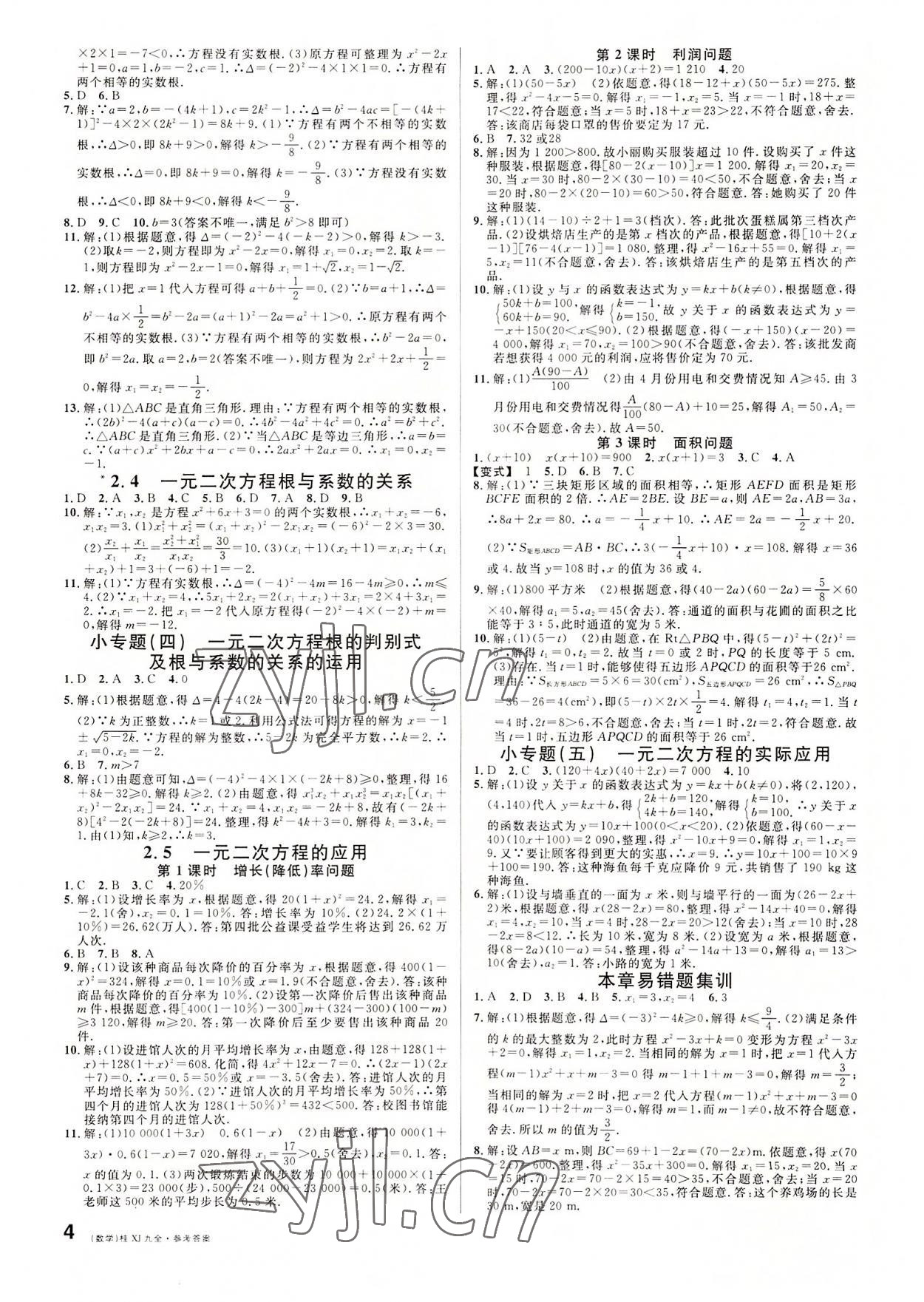 2022年名校課堂九年級數(shù)學(xué)全一冊湘教版廣西專版 第4頁