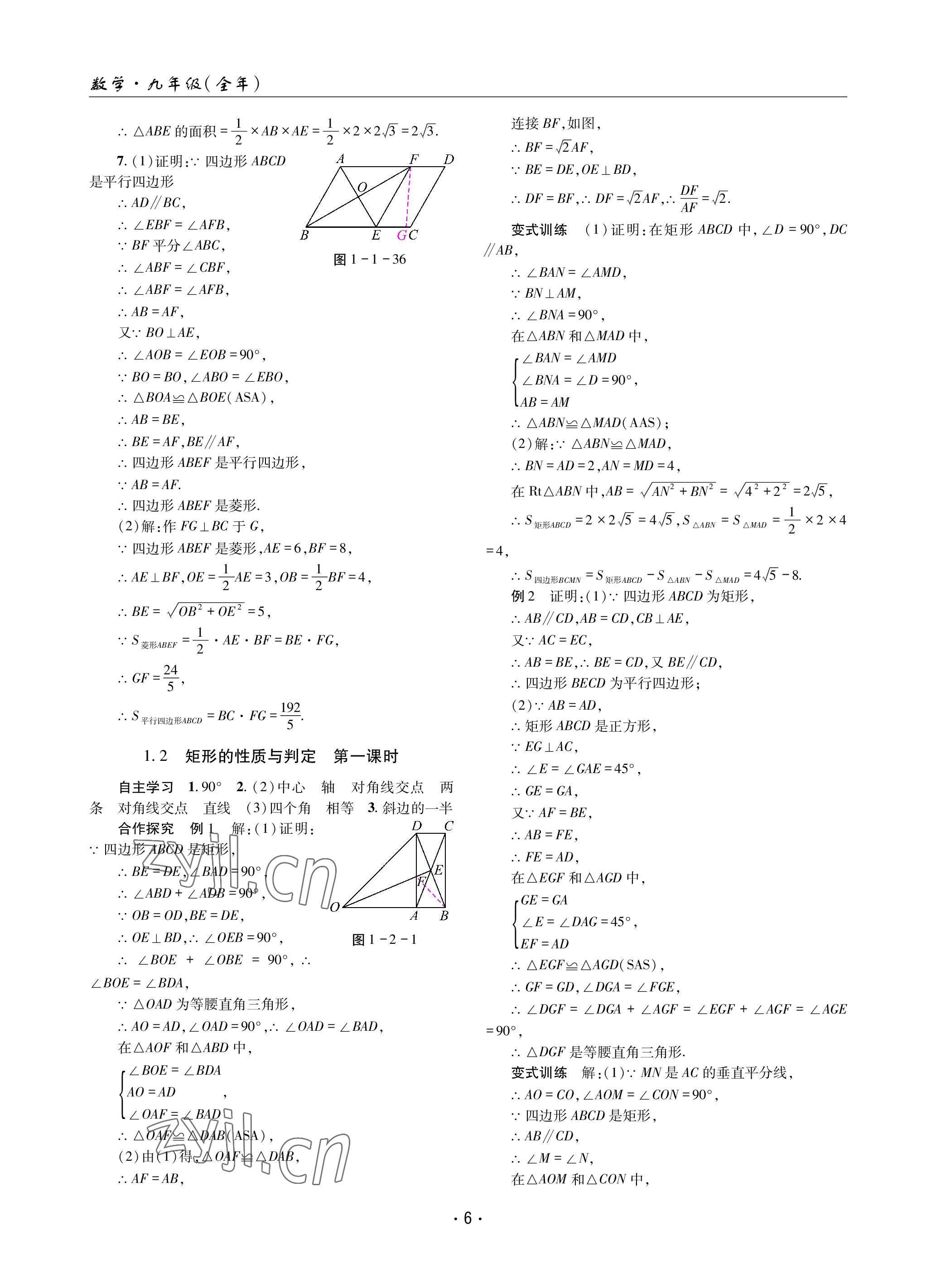 2022年理科爱好者九年级数学全一册北师大版第10~11期 参考答案第5页