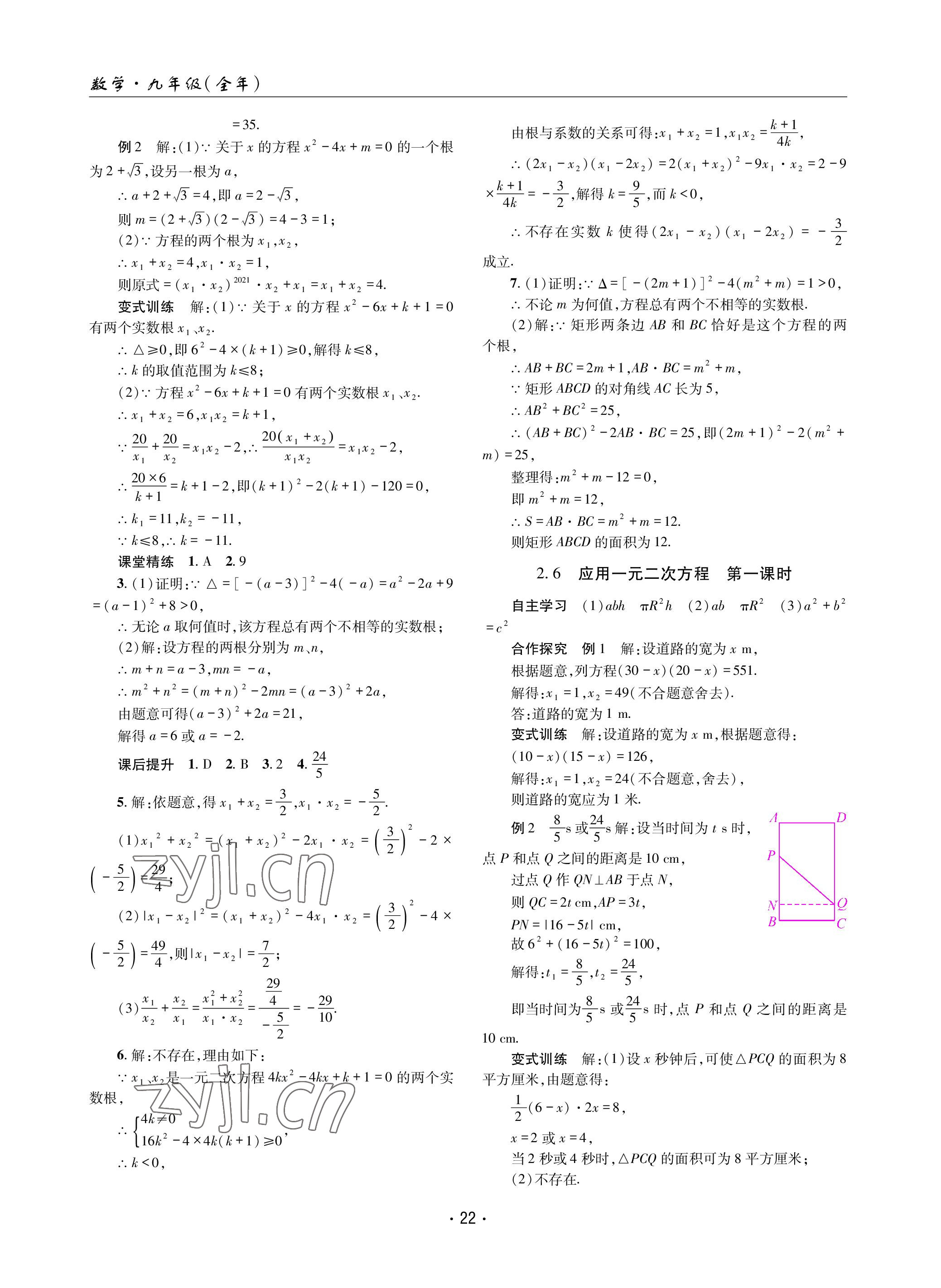 2022年理科爱好者九年级数学全一册北师大版第10~11期 参考答案第21页