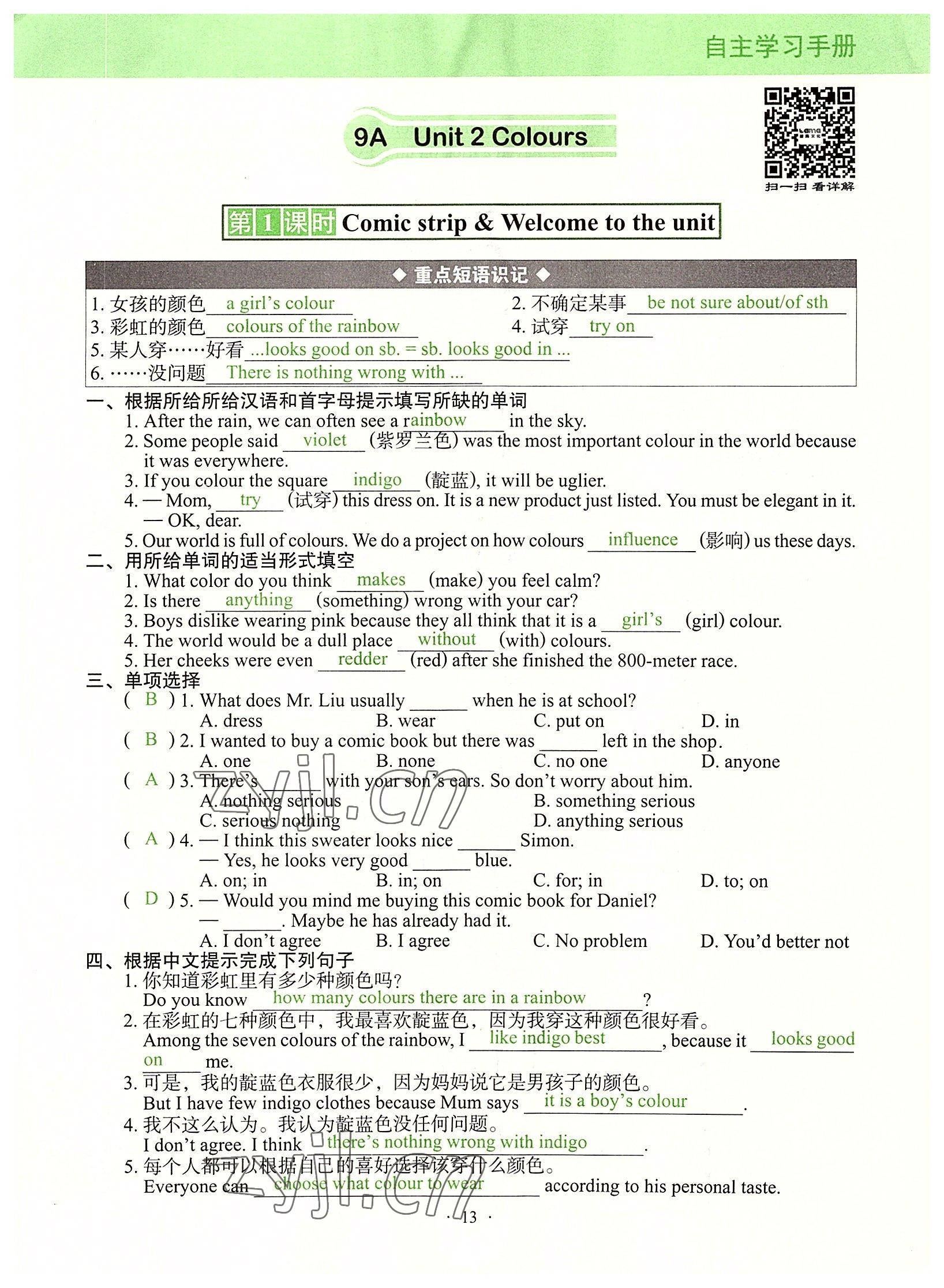 2022年自主学习手册辽宁少年儿童出版社九年级英语全一册通用版 参考答案第13页