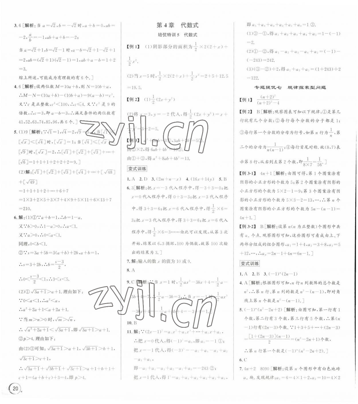 2022年優(yōu)加攻略七年級數(shù)學上冊浙教版 第8頁