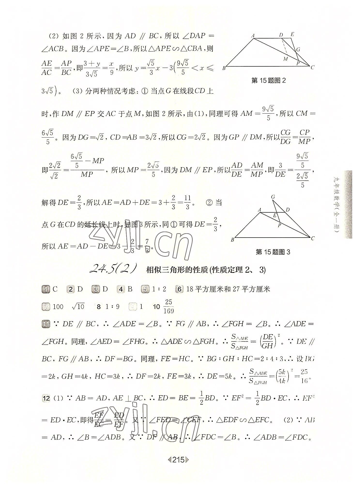 2022年華東師大版一課一練九年級數(shù)學全一冊滬教版54制 參考答案第11頁