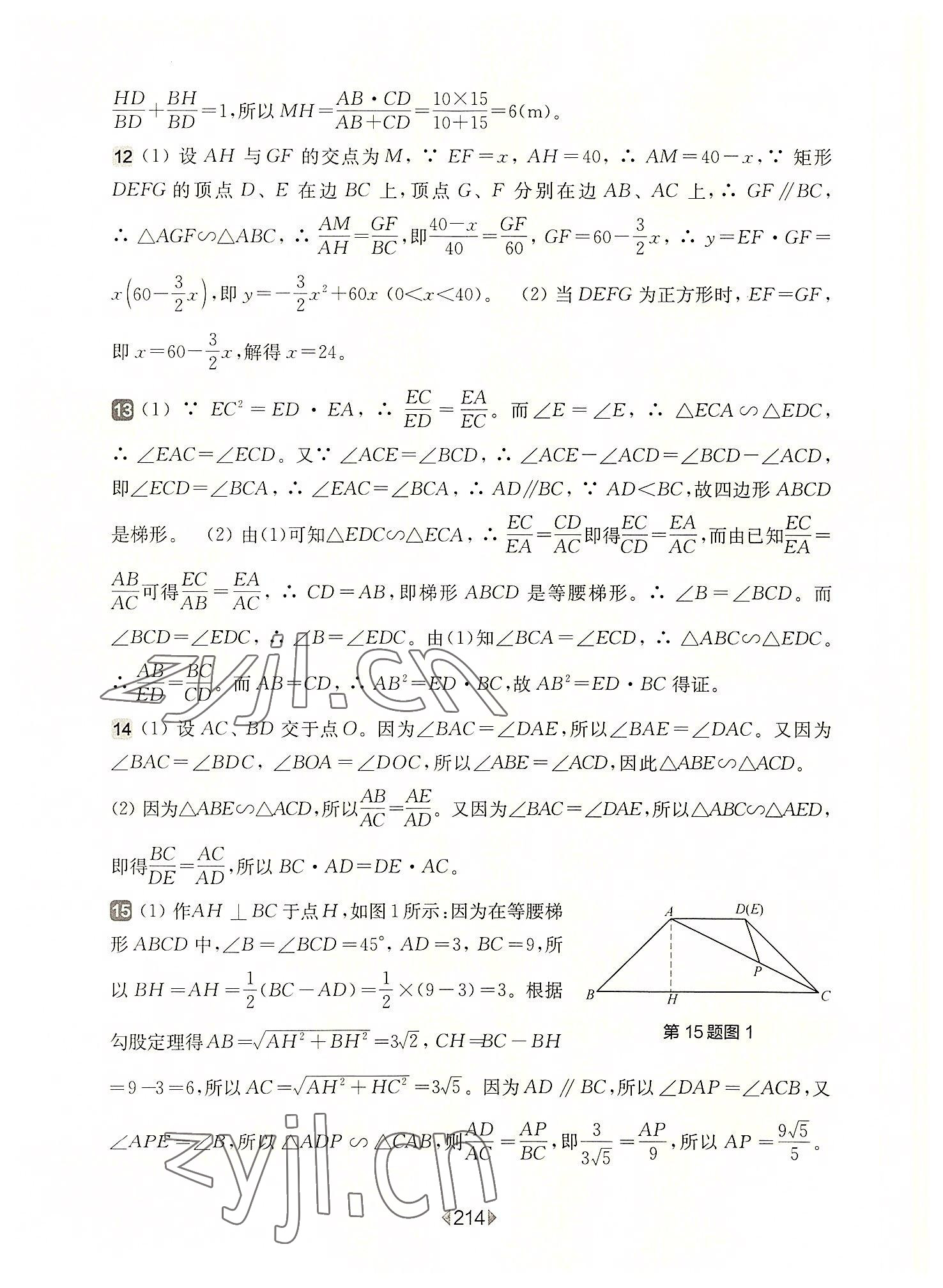 2022年華東師大版一課一練九年級(jí)數(shù)學(xué)全一冊(cè)滬教版54制 參考答案第10頁