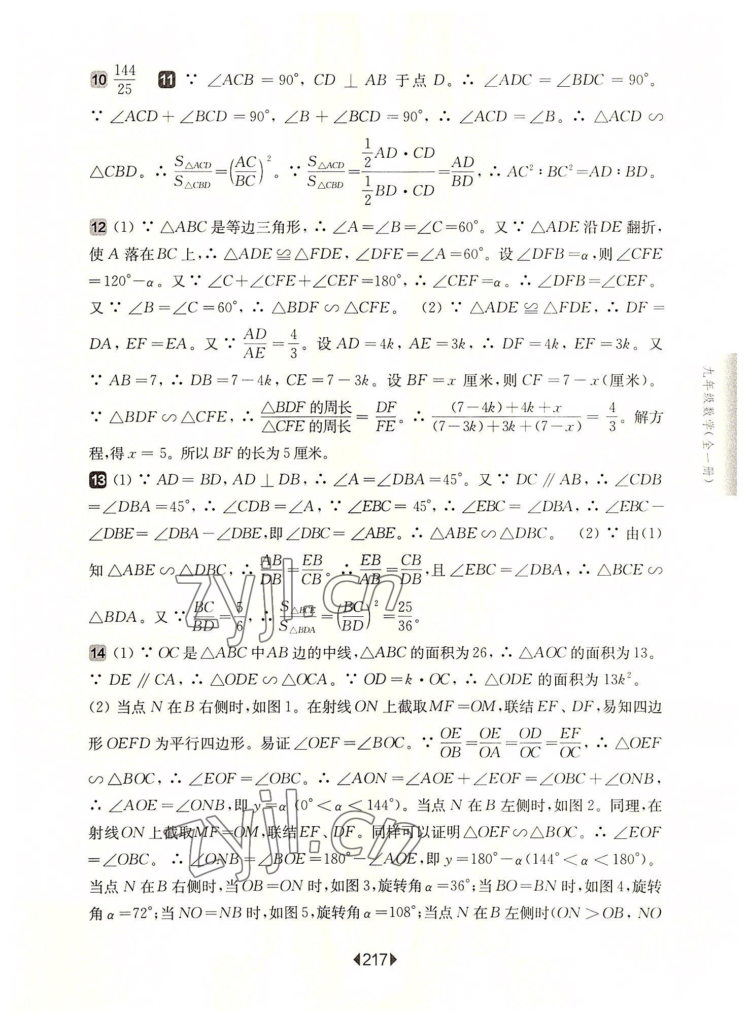 2022年华东师大版一课一练九年级数学全一册沪教版54制 参考答案第13页