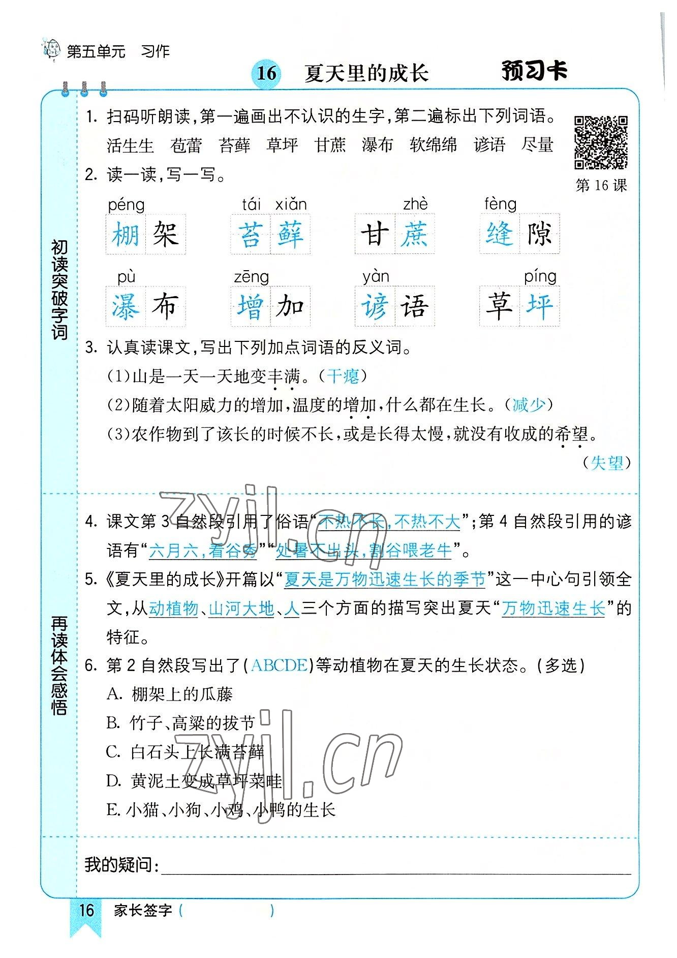 2022年七彩课堂六年级语文上册人教版河南专版 参考答案第16页