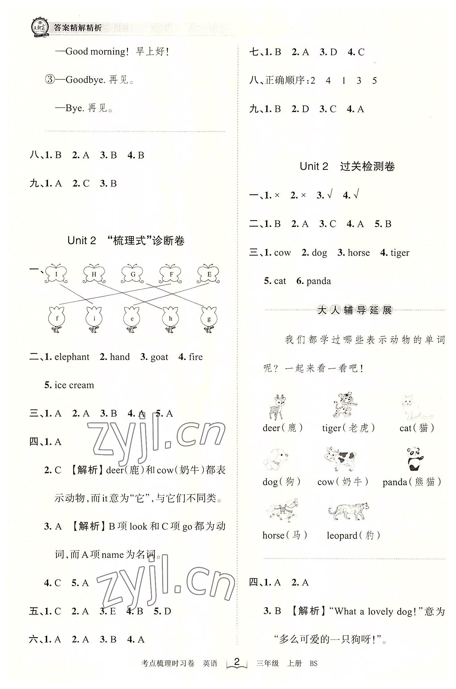 2022年王朝霞考點(diǎn)梳理時習(xí)卷三年級英語上冊北師大版 第2頁