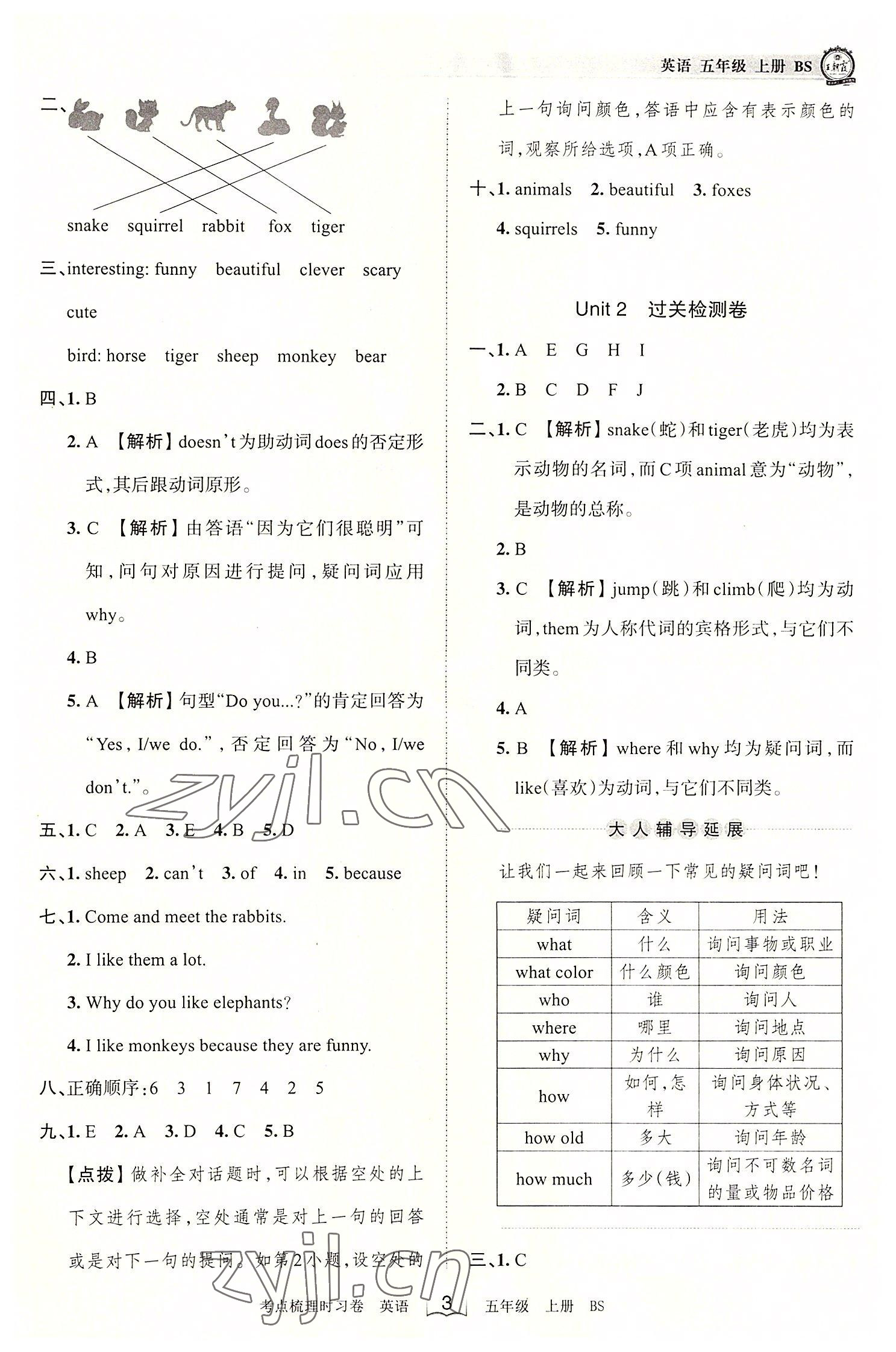 2022年王朝霞考點梳理時習卷五年級英語上冊北師大版 第3頁