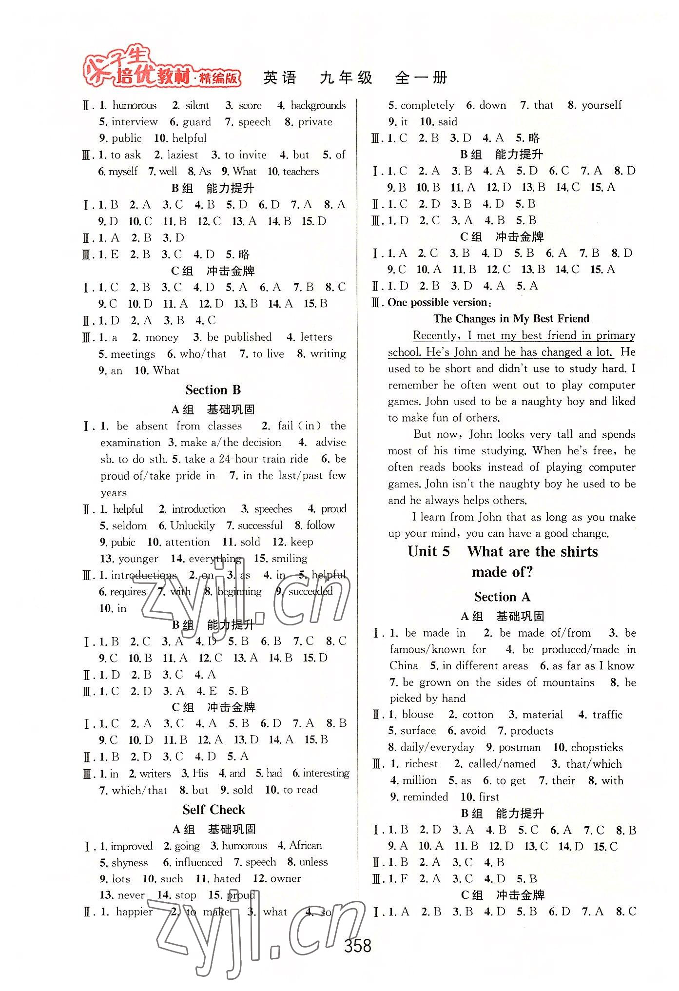 2022年尖子生培優(yōu)教材九年級英語全一冊人教版精編版 第4頁