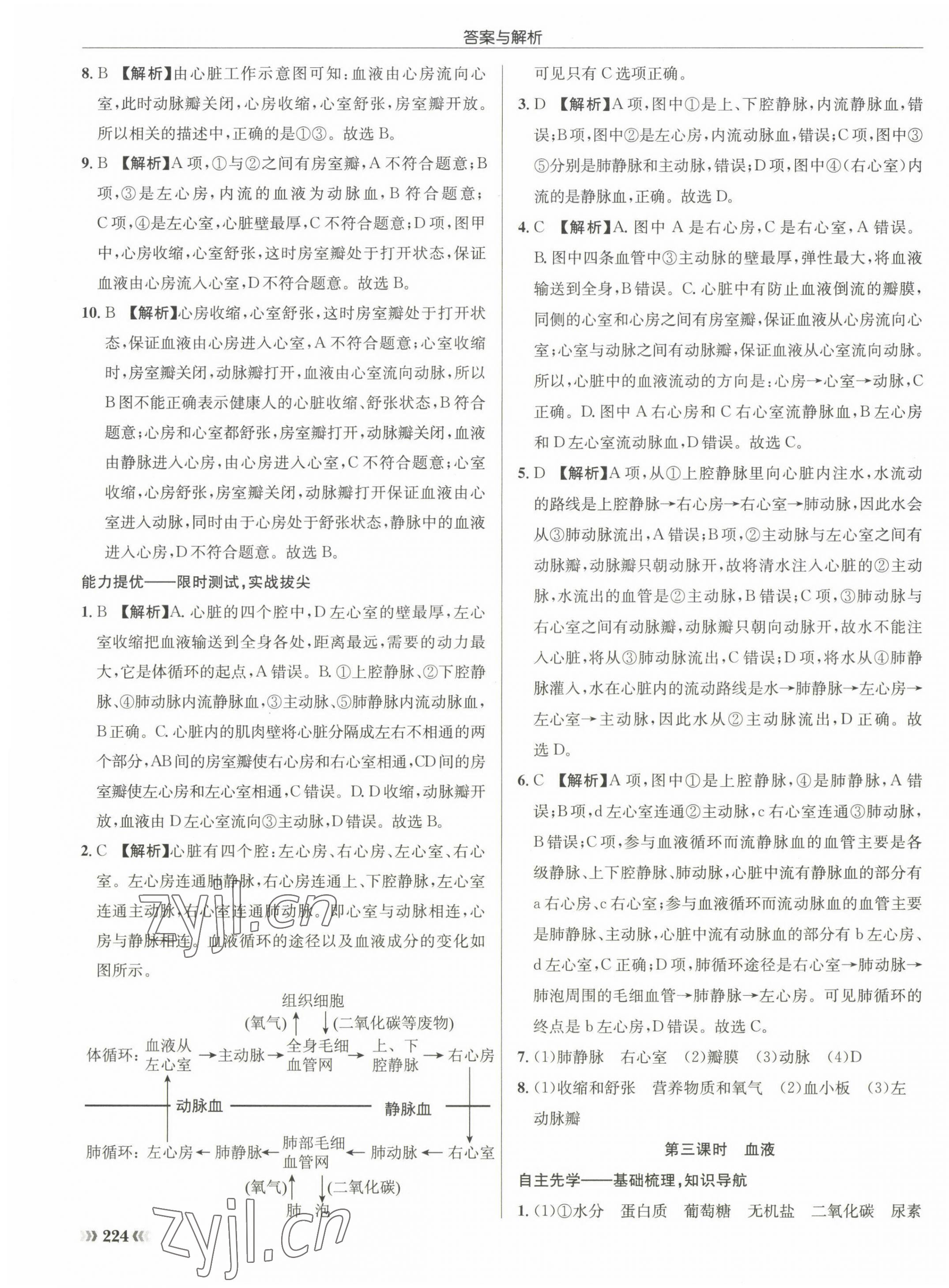 2022年啟東中學(xué)作業(yè)本八年級生物全一冊蘇科版 第3頁