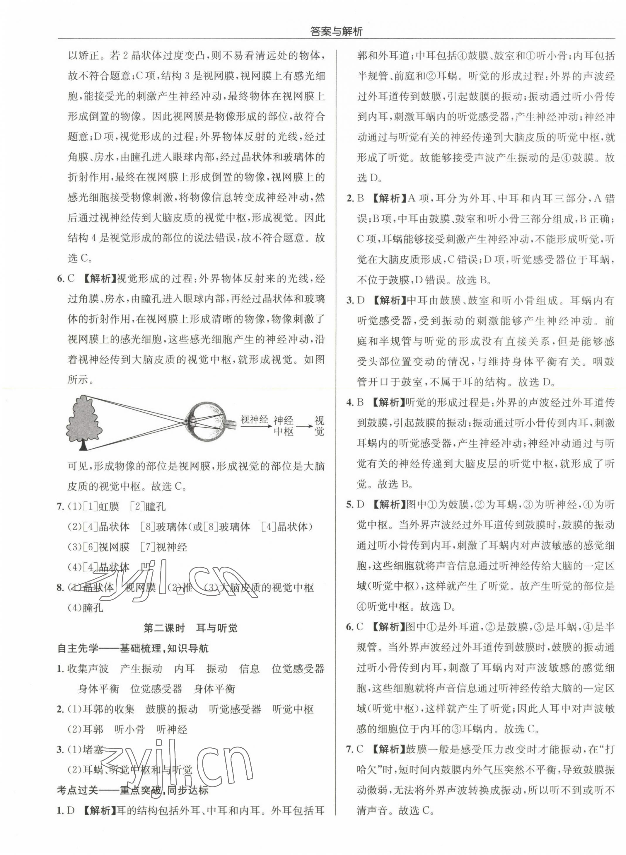 2022年啟東中學(xué)作業(yè)本八年級(jí)生物全一冊(cè)蘇科版 第17頁