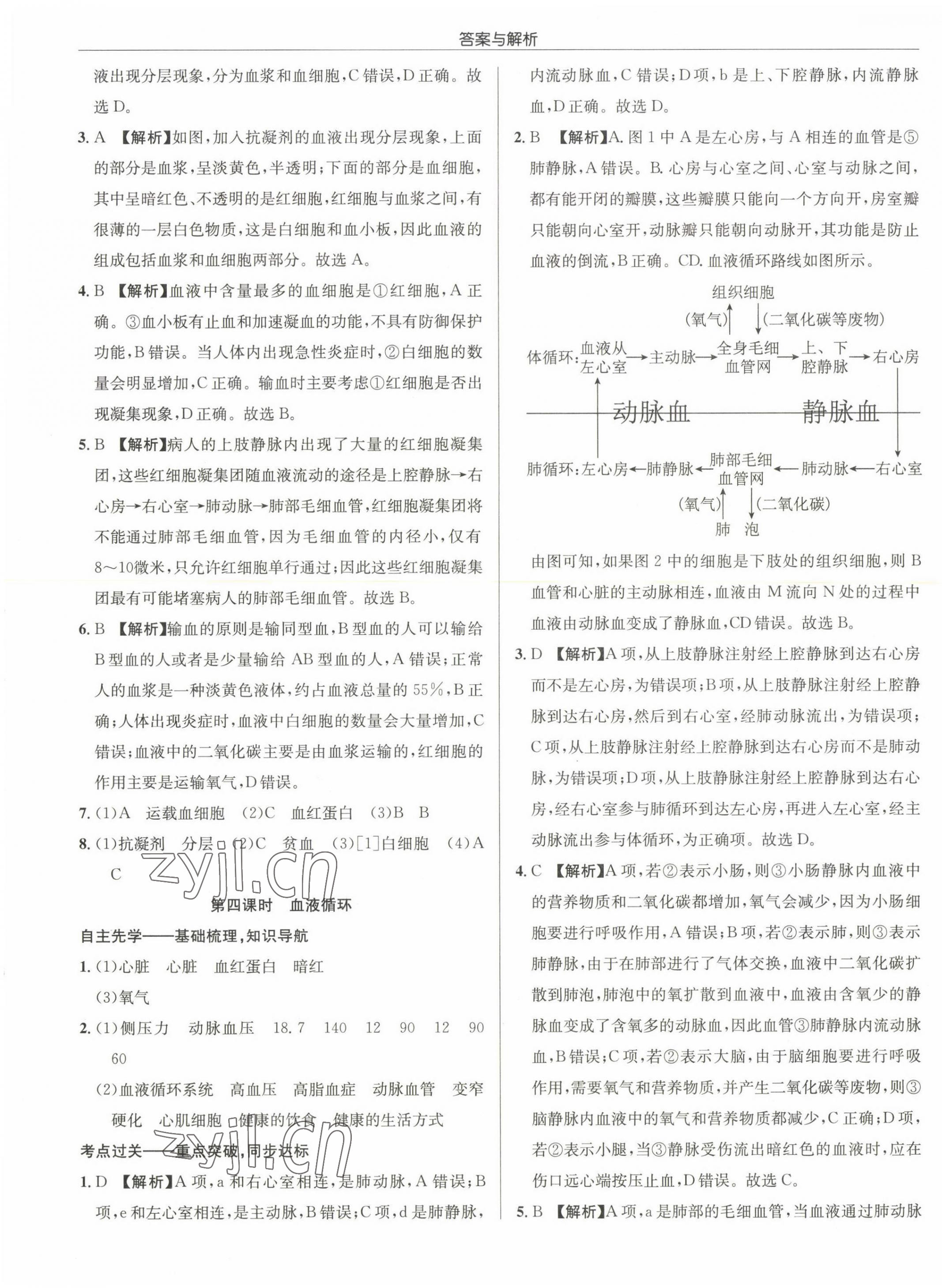 2022年啟東中學(xué)作業(yè)本八年級(jí)生物全一冊(cè)蘇科版 第5頁(yè)