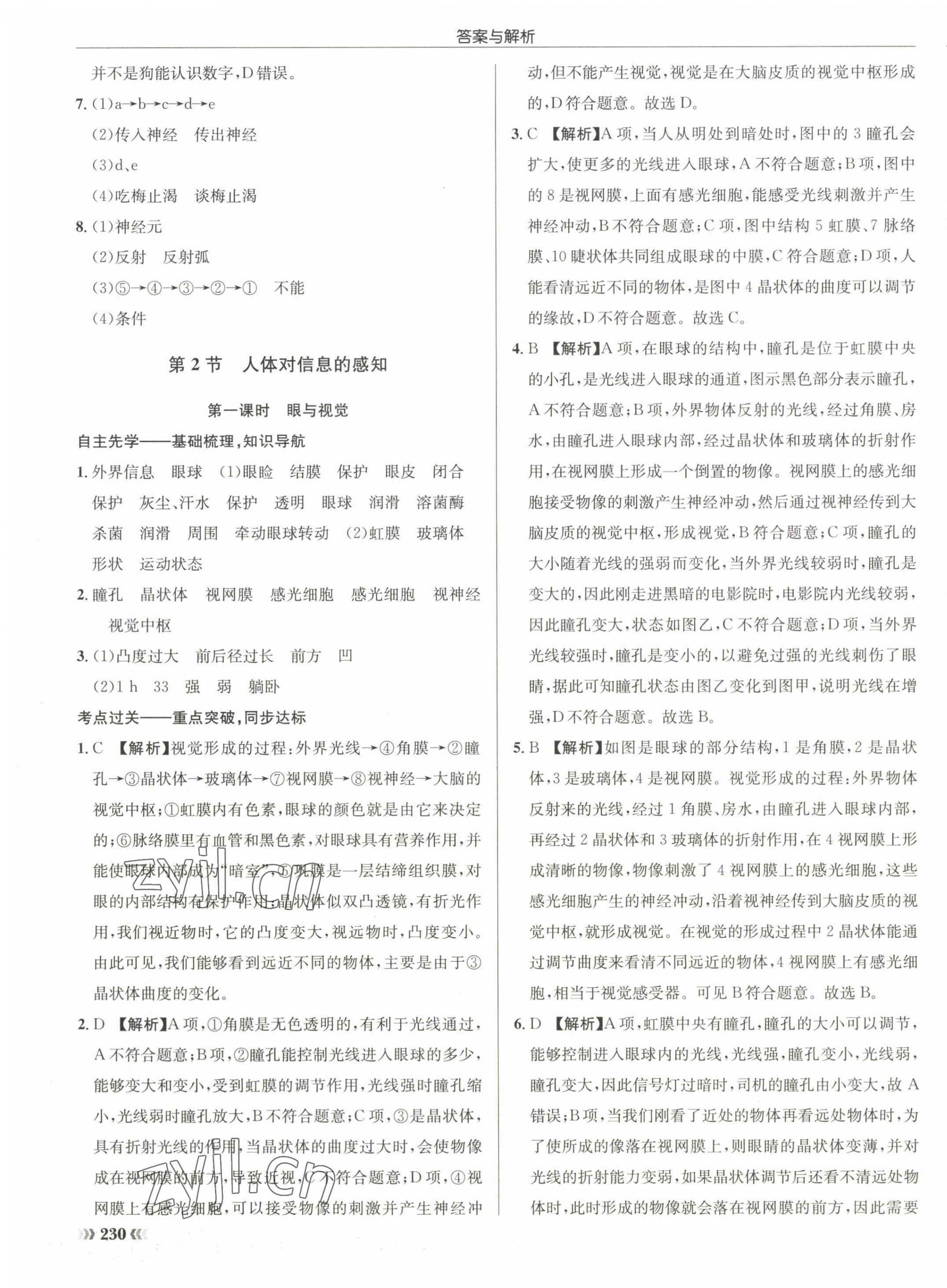 2022年啟東中學(xué)作業(yè)本八年級生物全一冊蘇科版 第15頁