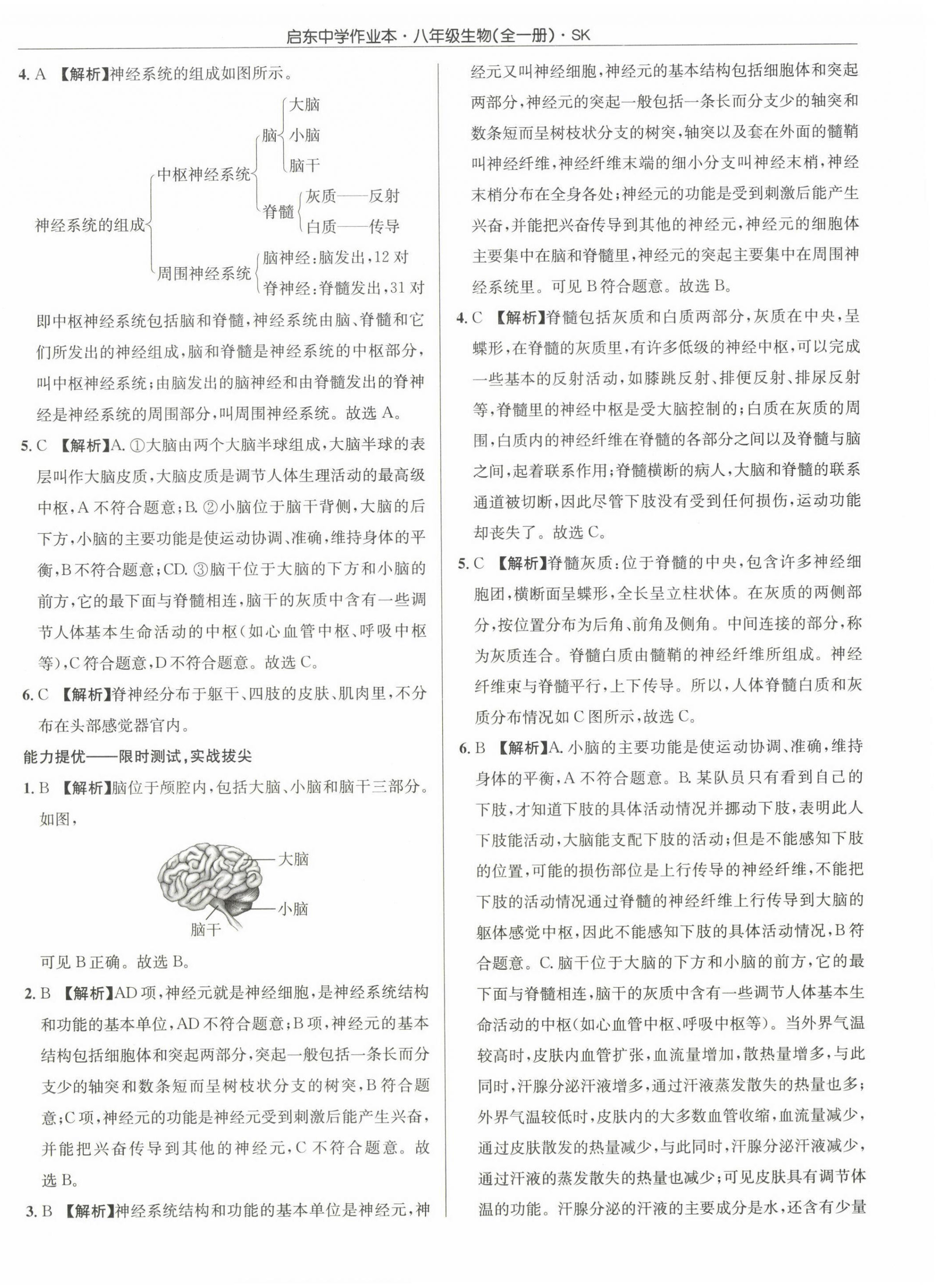 2022年啟東中學(xué)作業(yè)本八年級生物全一冊蘇科版 第12頁