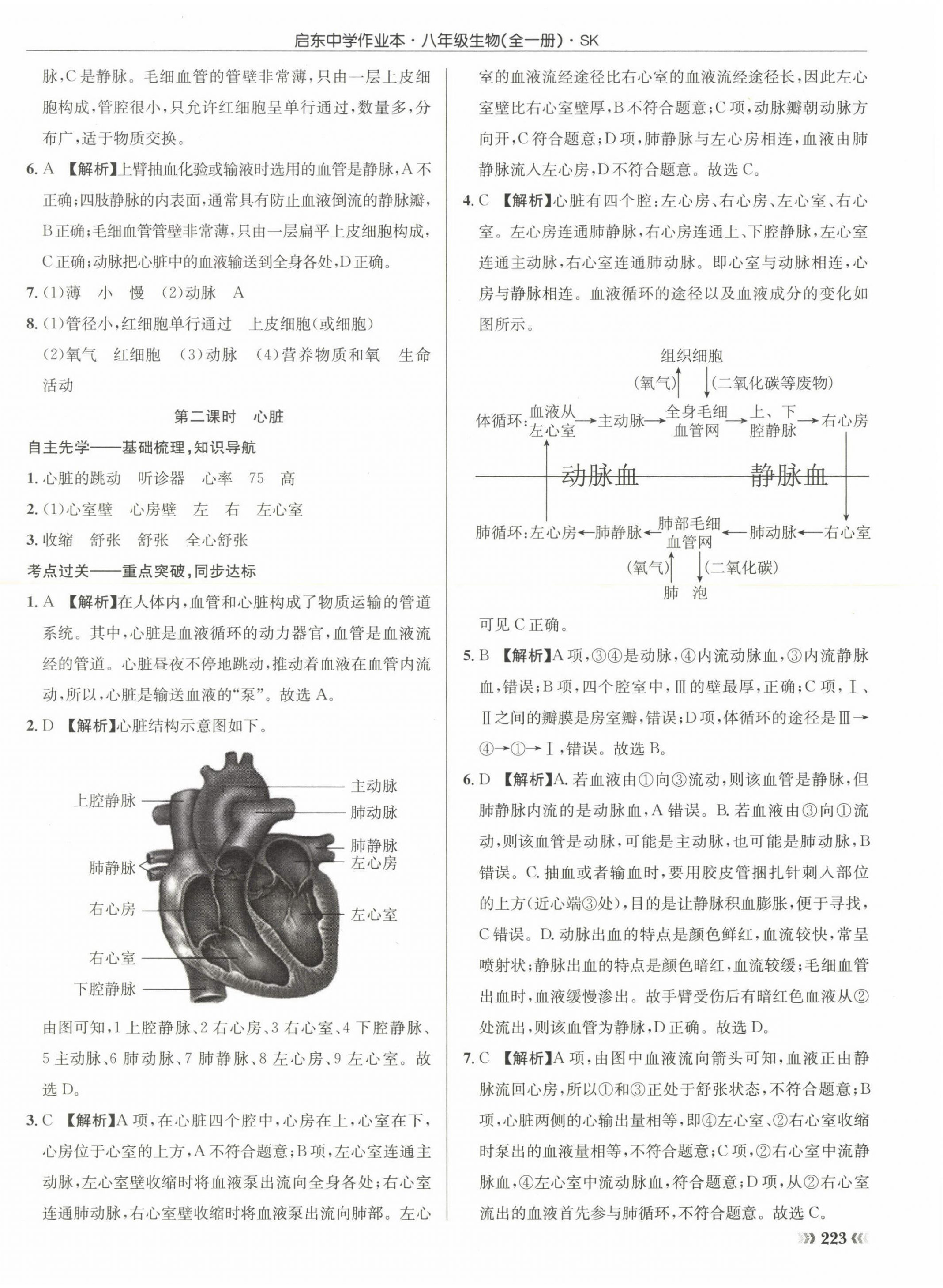 2022年啟東中學(xué)作業(yè)本八年級(jí)生物全一冊(cè)蘇科版 第2頁(yè)