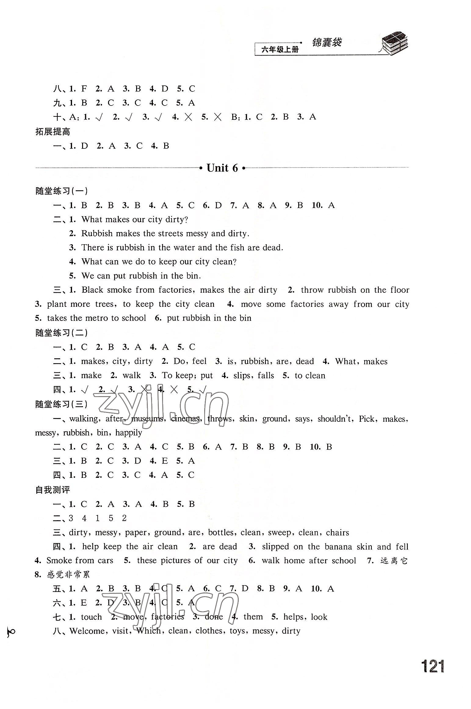 2022年同步練習江蘇六年級英語上冊譯林版 第6頁