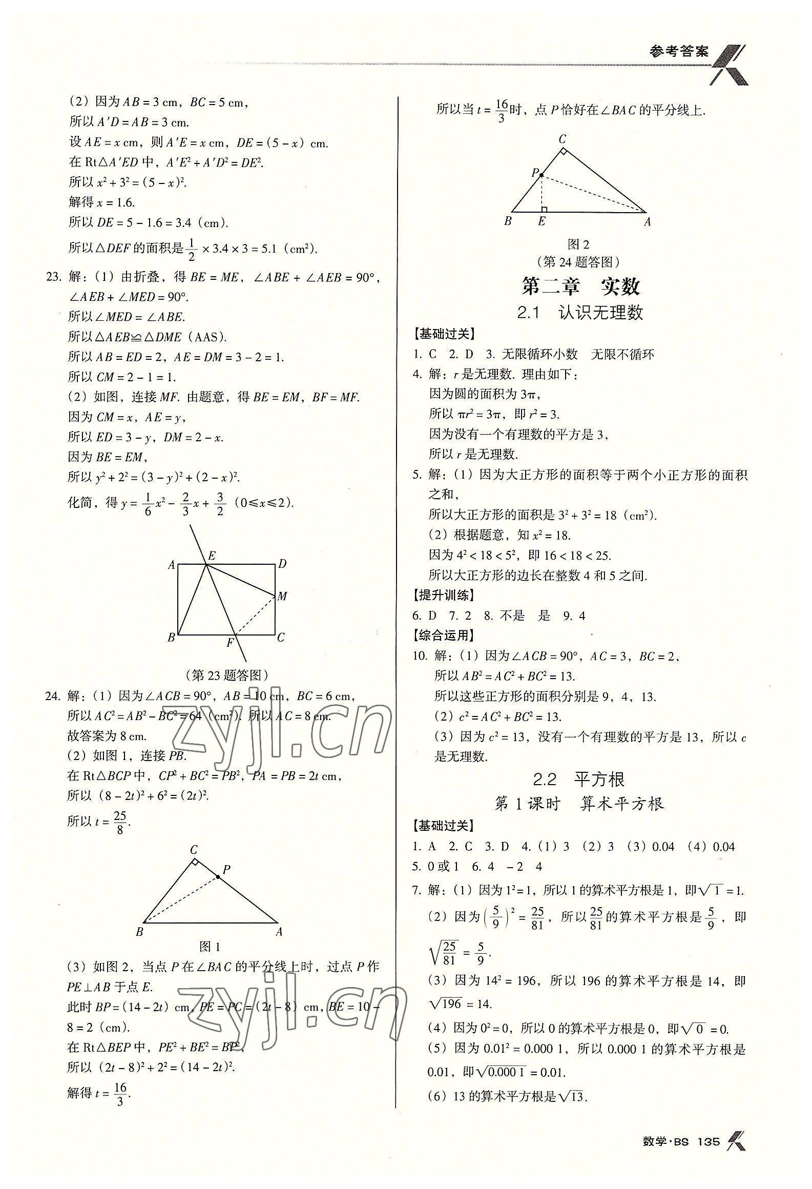 2022年全优点练课计划八年级数学上册北师大版 第5页