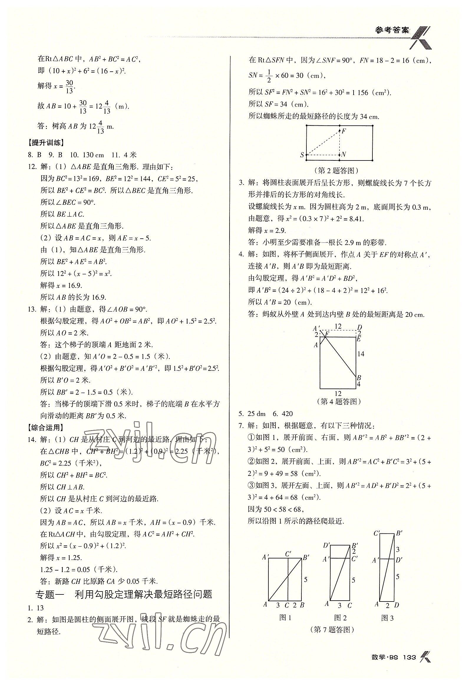 2022年全优点练课计划八年级数学上册北师大版 第3页