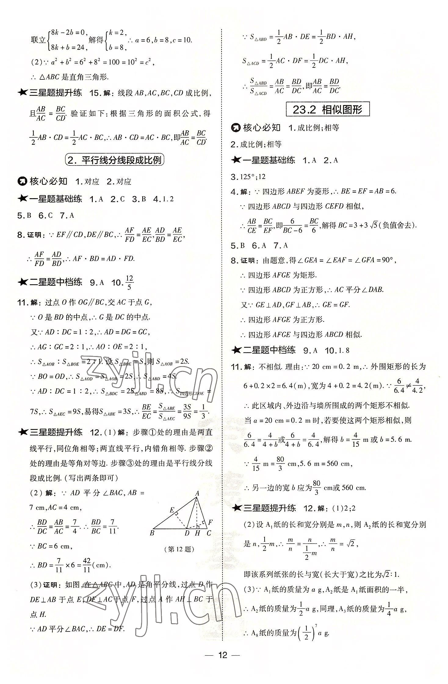 2022年点拨训练九年级数学上册华师大版 参考答案第12页