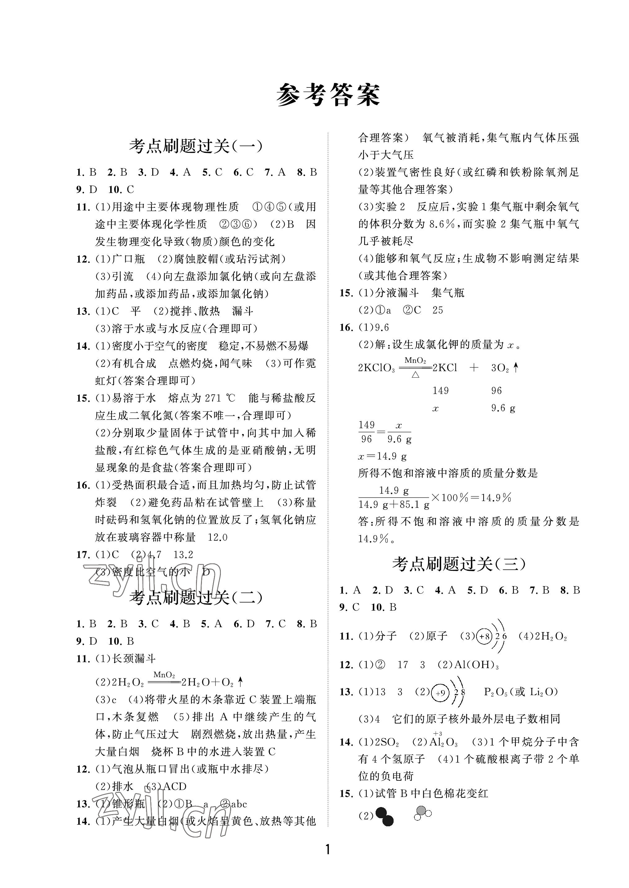 2023年同步練習(xí)冊分層卷九年級化學(xué)下冊魯教版54制 參考答案第1頁