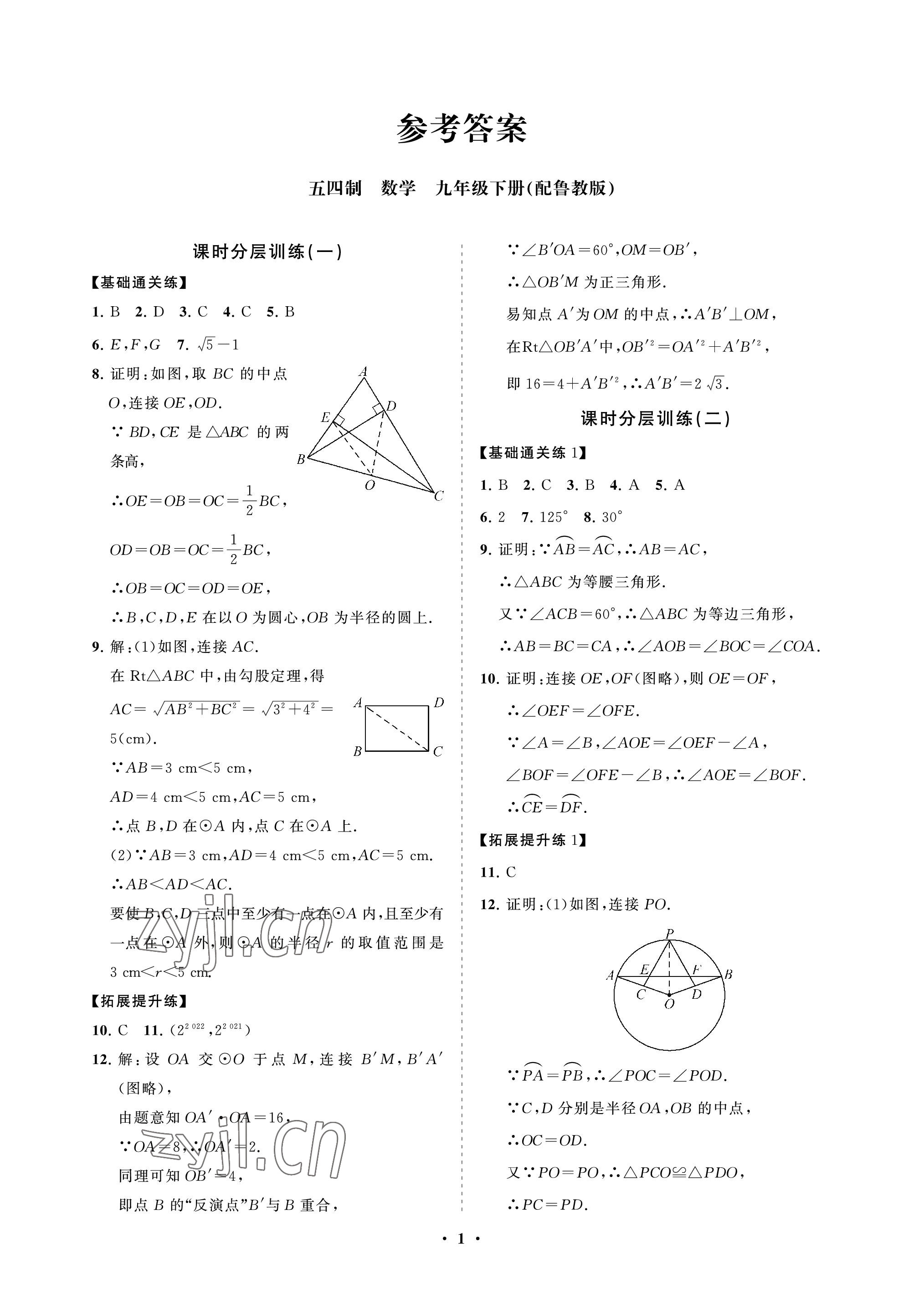 2023年同步練習(xí)冊(cè)分層卷九年級(jí)數(shù)學(xué)下冊(cè)魯教版54制 參考答案第1頁(yè)