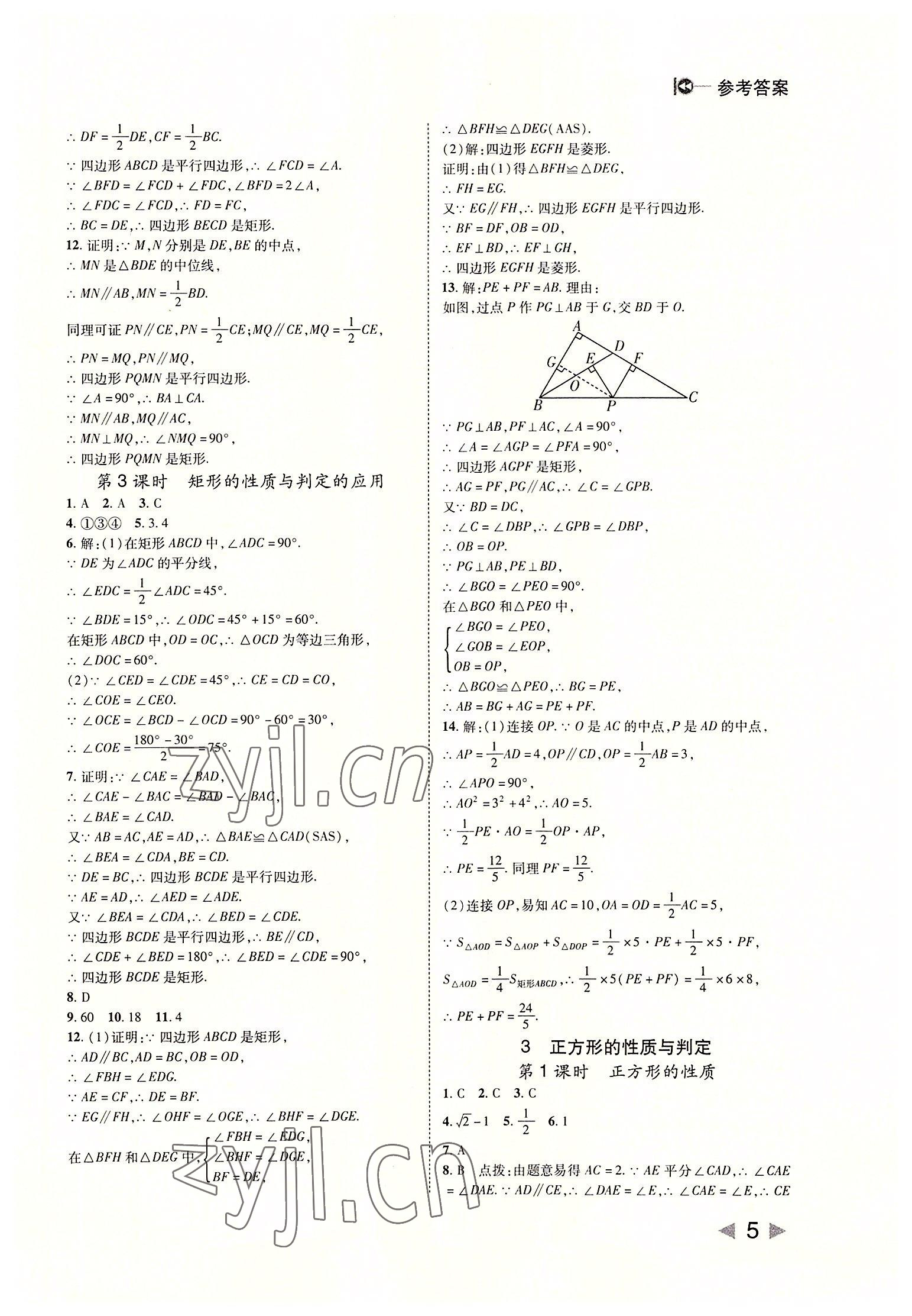 2022年胜券在握打好基础作业本九年级数学上册北师大版 第5页