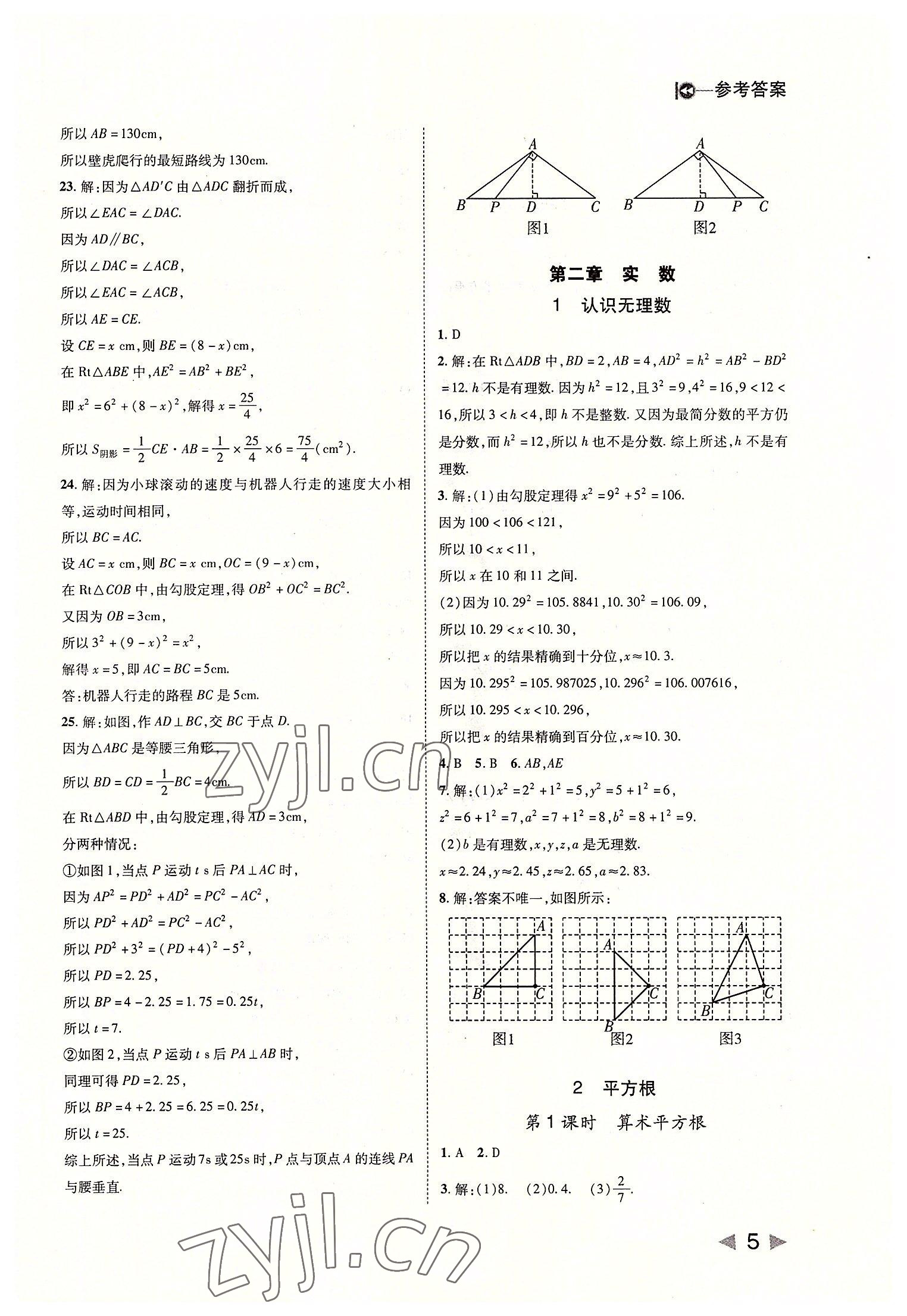 2022年勝券在握打好基礎(chǔ)作業(yè)本八年級(jí)數(shù)學(xué)上冊(cè)北師大版 第5頁(yè)