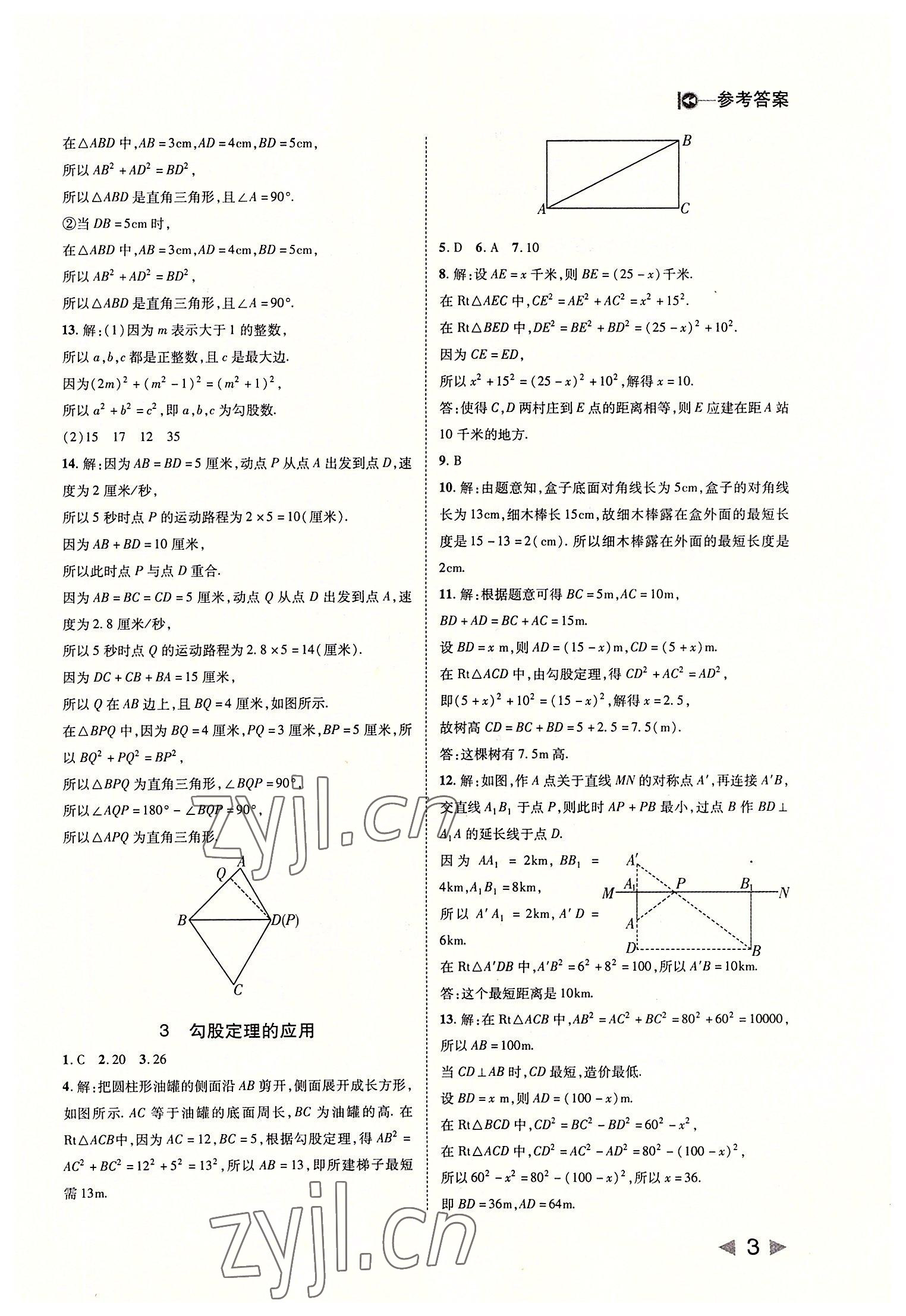 2022年胜券在握打好基础作业本八年级数学上册北师大版 第3页