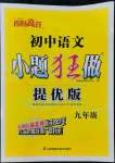 2022年初中語文小題狂做提優(yōu)版九年級人教版