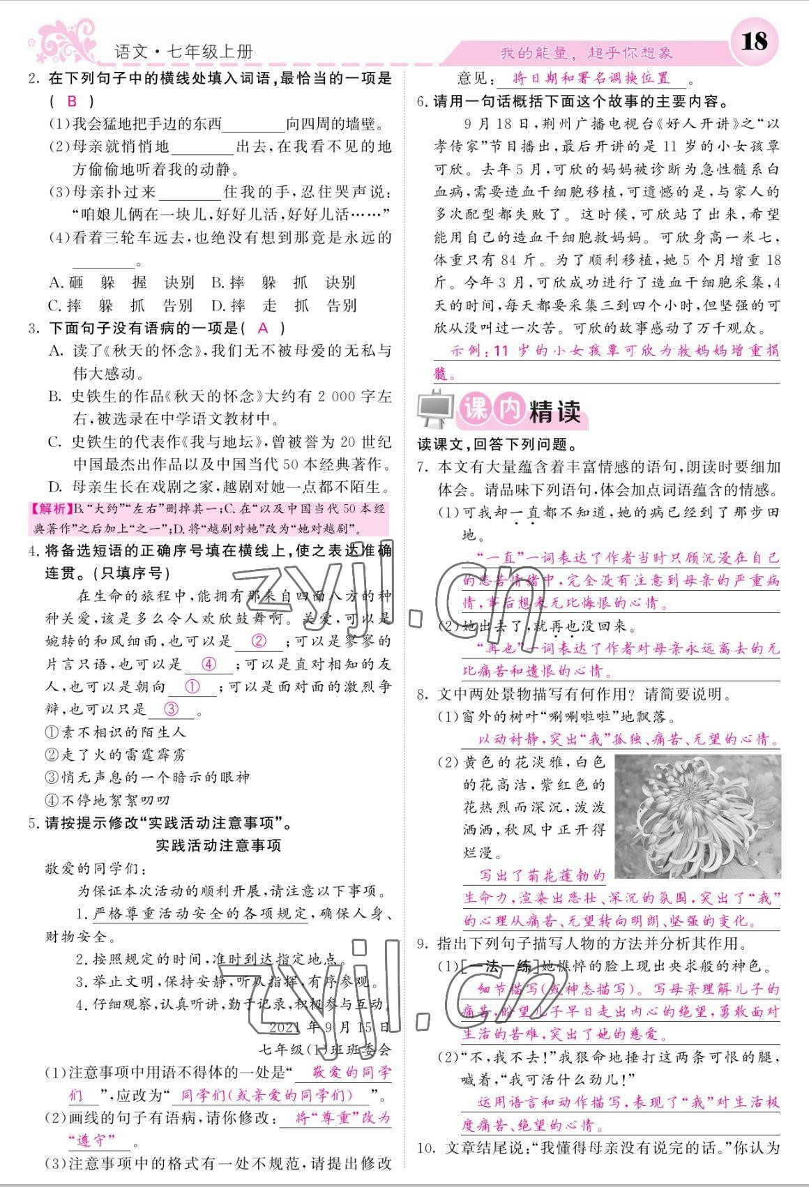 2022年課堂點睛七年級語文上冊人教版寧夏專版 參考答案第18頁