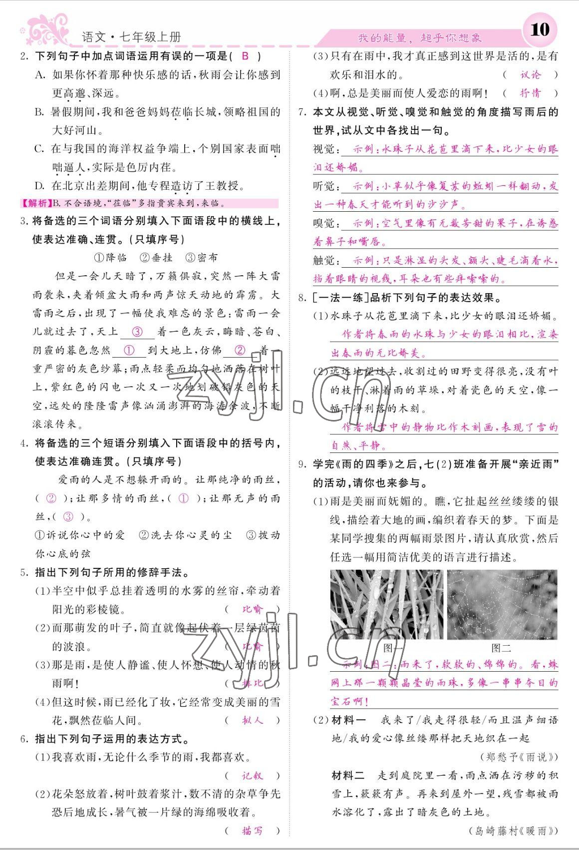 2022年課堂點(diǎn)睛七年級語文上冊人教版寧夏專版 參考答案第10頁