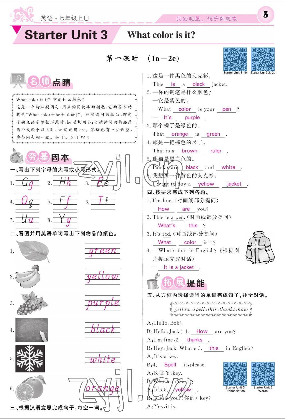 2022年課堂點睛七年級英語上冊人教版寧夏專版 參考答案第5頁