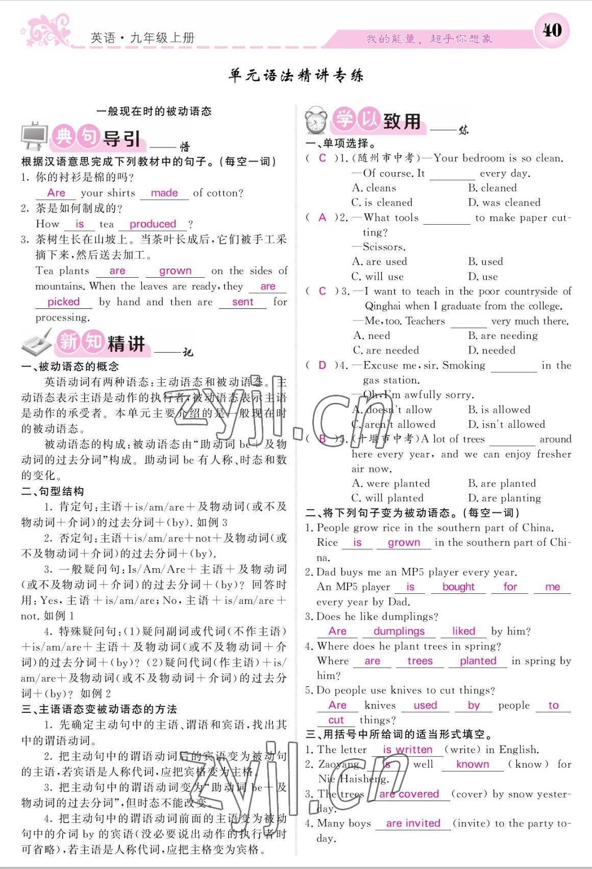 2022年課堂點(diǎn)睛九年級英語上冊人教版寧夏專版 參考答案第40頁