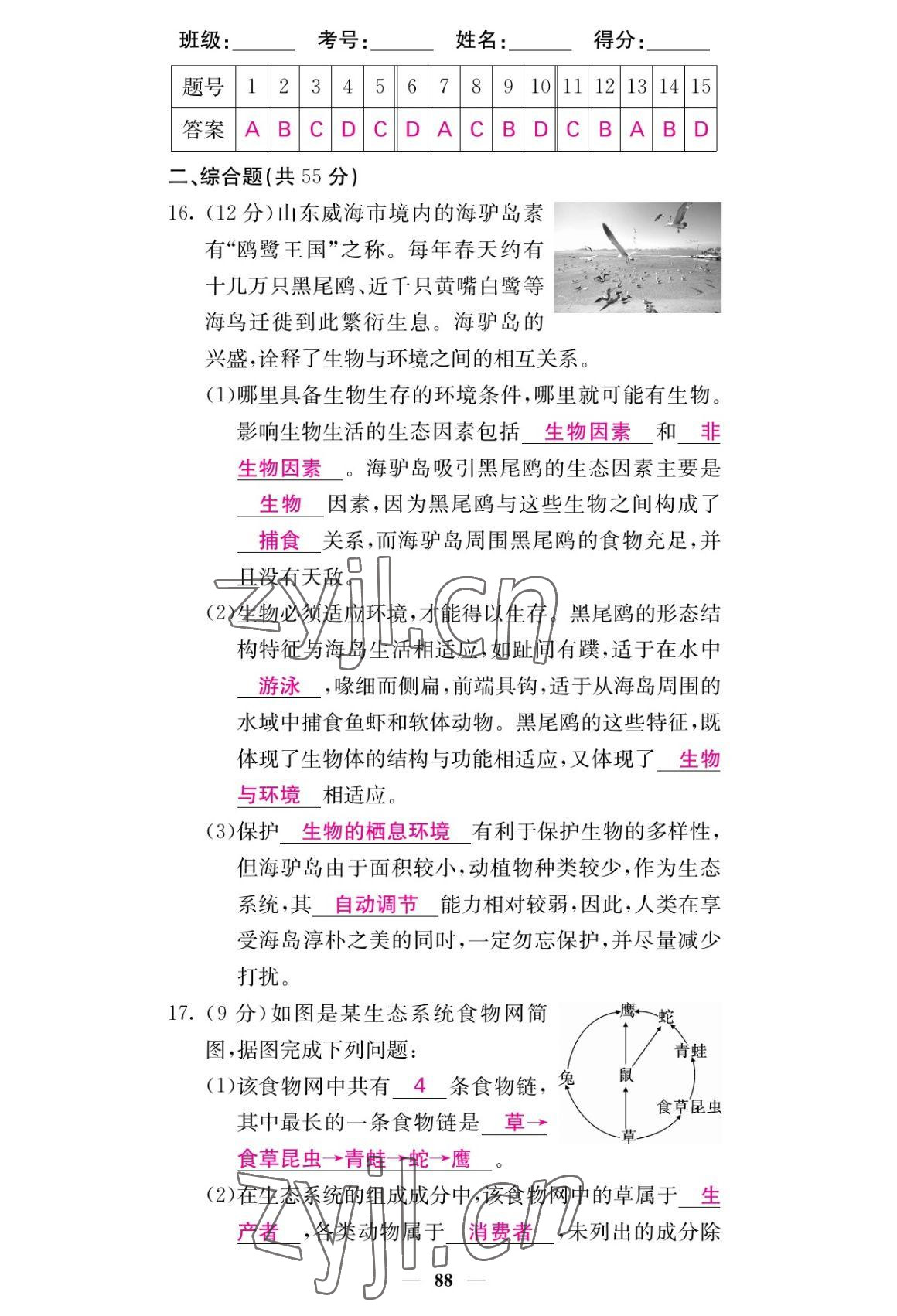 2022年課堂點睛七年級生物上冊人教版 參考答案第4頁