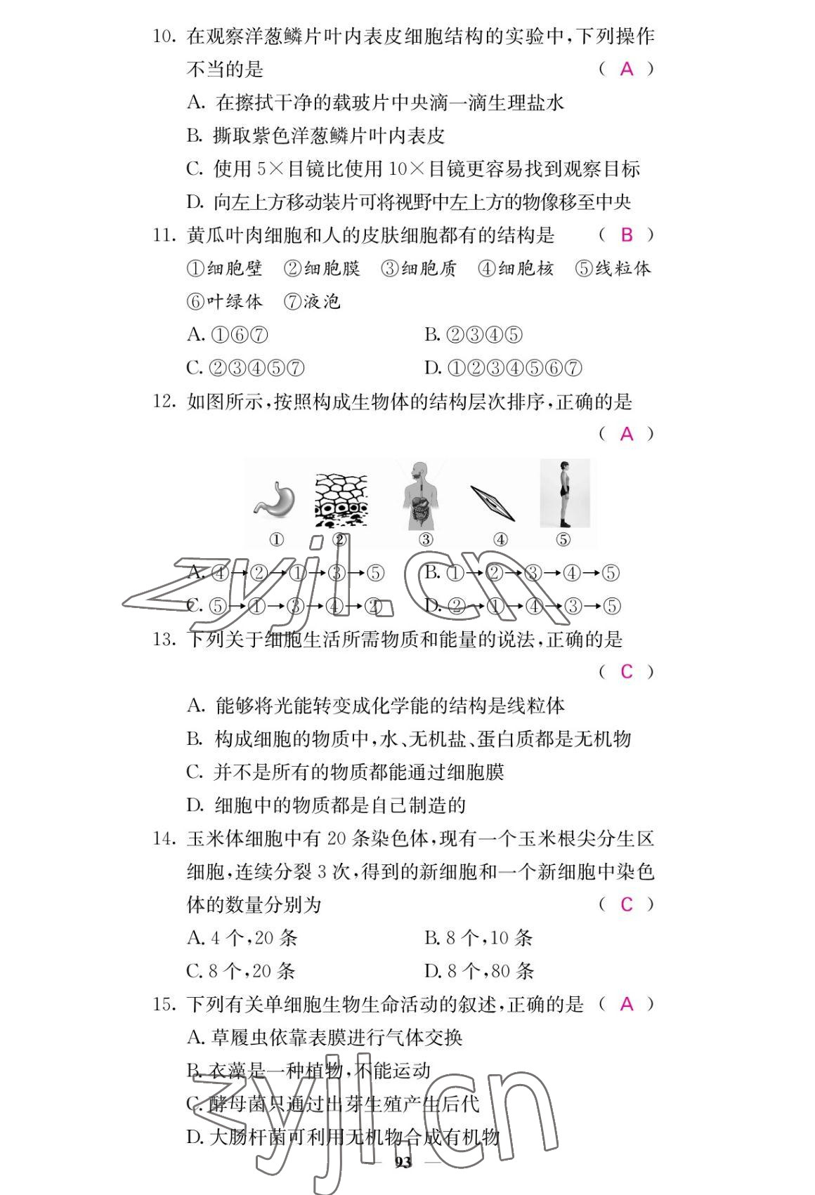 2022年课堂点睛七年级生物上册人教版 参考答案第9页